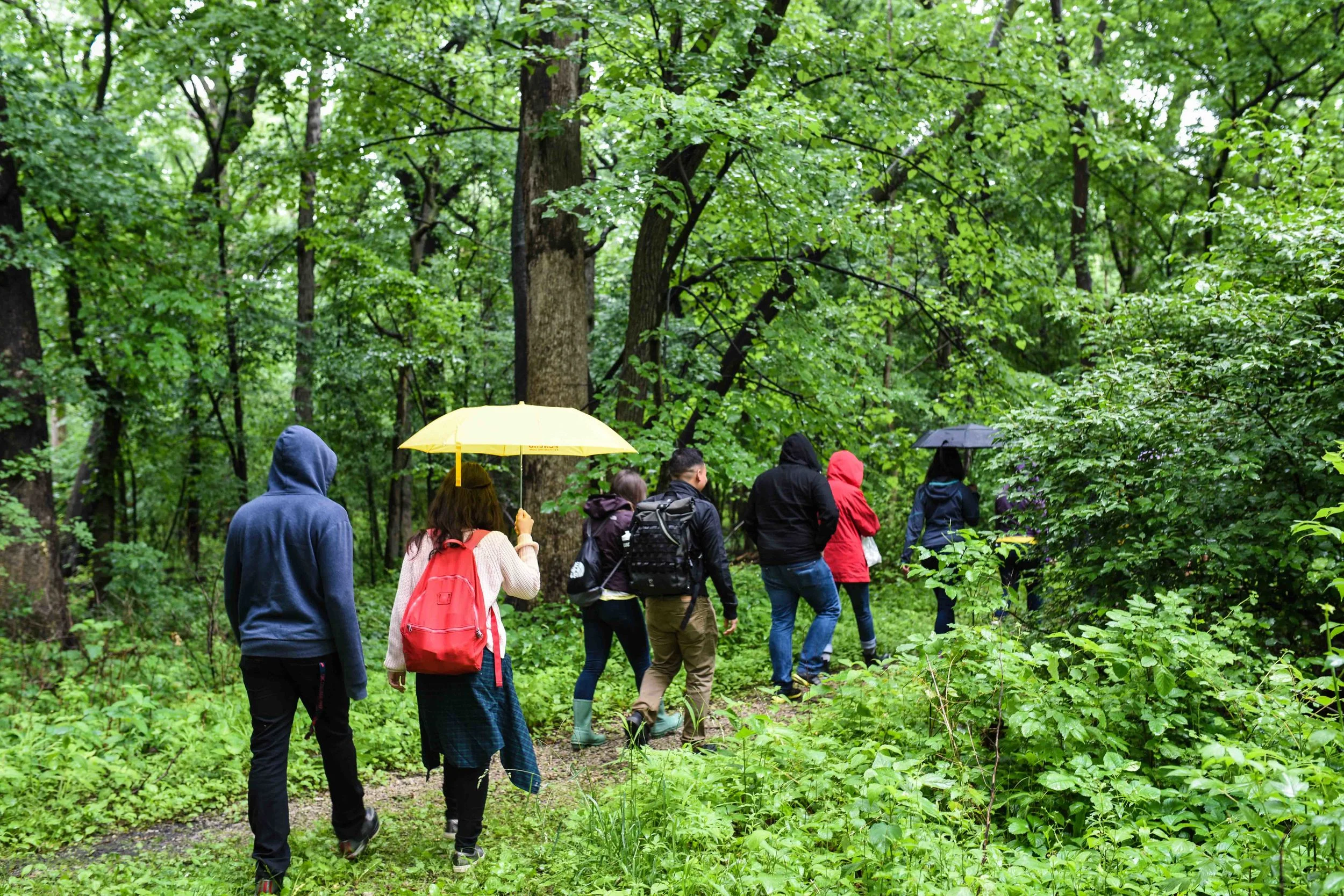 Thatcher Woods Field Trip