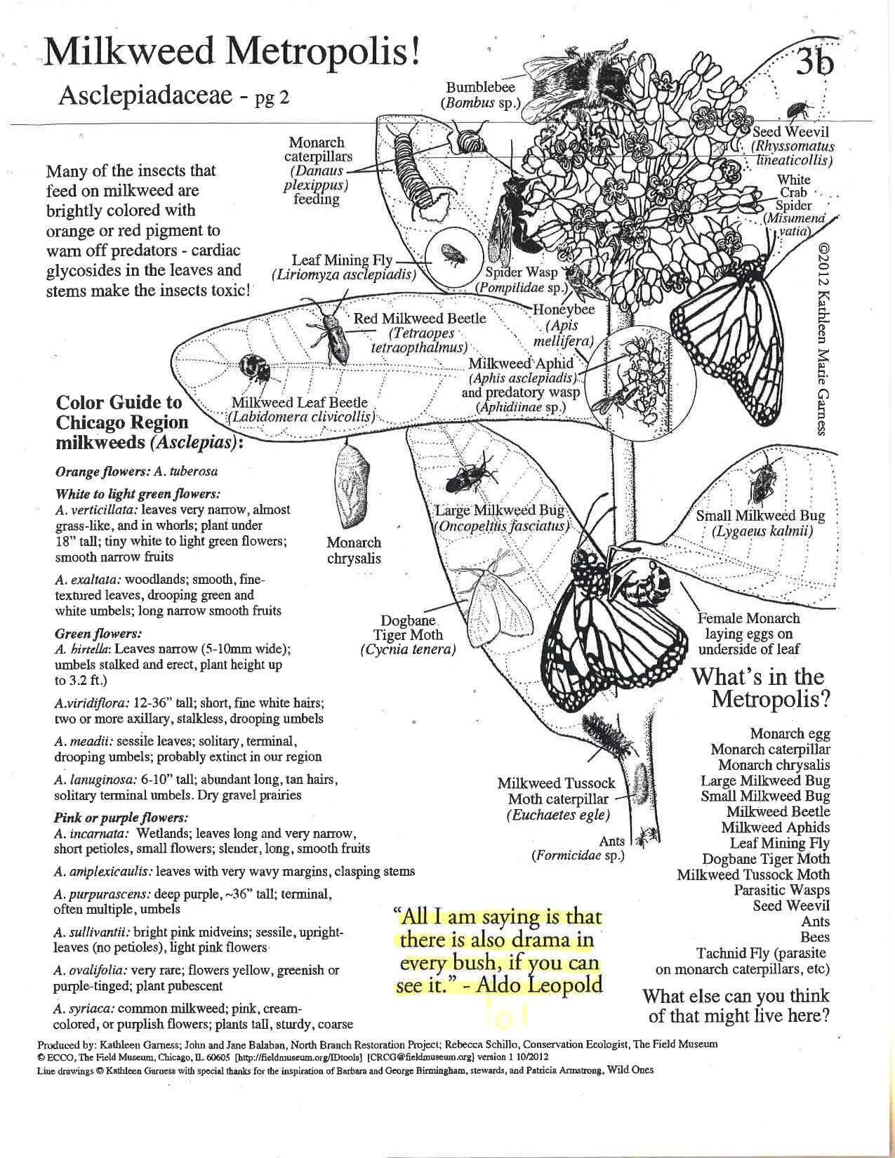 Milkweed Metropolis! Poster 