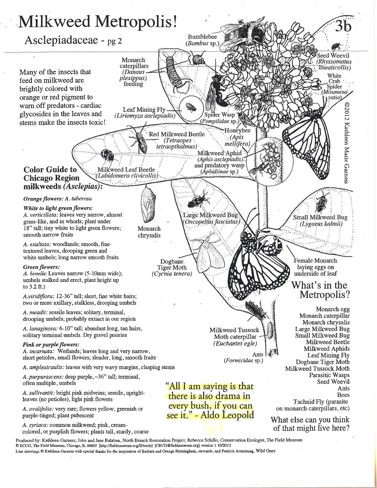 Milkweed Metropolis! Poster