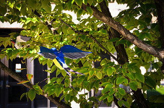 blue bird sculpture