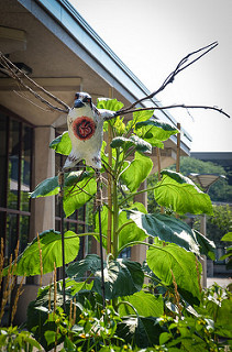 bird sculpture