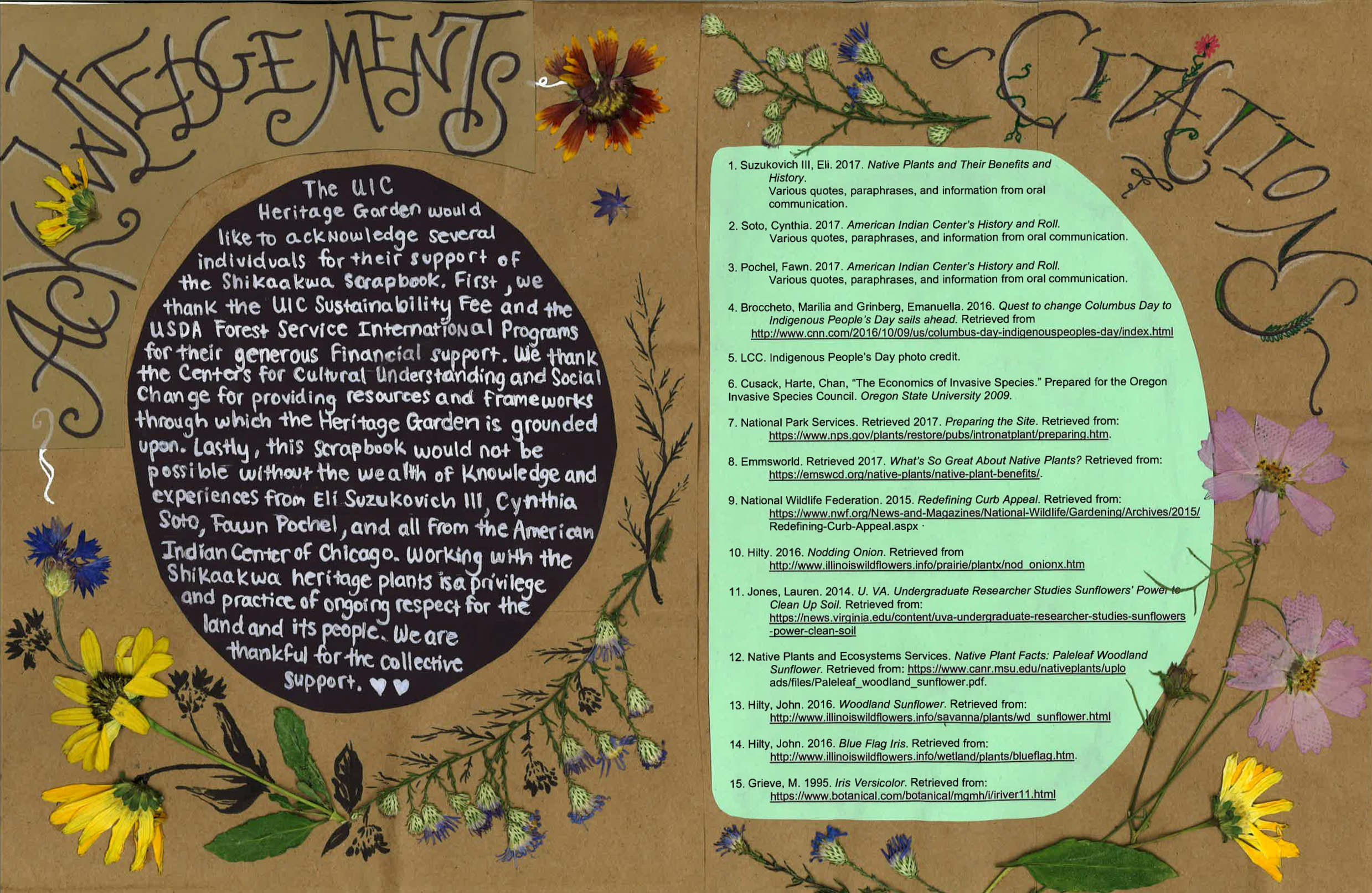 ACKNOWLEDGEMENTS The UIC Heritage Garden would like to acknowledge several individuals for their support of the Shikaakwa scrapbook. First, we thank the UIC Sustainability Fee and the USDA Forest Service International Programs for their generous financial support. We thank the Centers for Cultural Understanding and Social Change for providing resources and frameworks through which the Heritage Garden is grounded upon. Lastly, this scrapbook would not be possible without the wealth of knowledge and experiences from Eli Suzukovich III, Cynthia Soto, Fawn Pochel, and all from the American Indian Center of Chicago. Working with the Shikaakwa heritage plants is a privilege and practice of ongoing respect for the land and its people. We are thankful for the collective support. 1. Suzukovich III, Eli. 2017. Native Plants and Their Benefits and History . Various quotes, paraphrases, and information from oral communication. 2. Soto, Cynthia. 2017. American Indian Center’s History and Roll. Various quotes, paraphrases, and information from oral communication. 3. Pochel, Fawn. 2017. American Indian Center’s History and Roll. Various quotes, paraphrases, and information from oral communication. 4. Broccheto, Marilia and Grinberg, Emanuella. 2016. Quest to change Columbus Day to Indigenous People’s Day sails ahead. Retrieved from https://www.cnn.com/2016/10/09/us/columbus-day-indigenous-peoples-day/index.html 5. LCC. Indigenous People’s Day photo credit. 6. Cusack, Harte, Chan, “The Economics of Invasive Species.” Prepared for the Oregon Invasive Species Council. Oregon State University 2009. 7. National Park Services. Retrieved 2017. Preparing the Site . Retrieved from: https://www.nps.gov/plants/restore/pubs/intronatplant/preparing.htm. 8. Emmsworld. Retrieved 2017. What’s So Great About Native Plants? Retrieved From: https://emswcd.org/native-plants/native-plant-benefits/. 9. National Wildlife Federation. 2015. Redefining Curb Appeal . Retrieved from: https://www.nwf.org/News-and-Magazines/National-Wildlife/Gardening/Archives/2015/Redefining-Curb-Appeal.aspx Archived Source 10. Hilty. 2016. Nodding Onion . Retrieved from http://www.illinoiswildflowers.info/prairie/plantx/nod_onionx.htm 11. Jones, Lauren. 2014. U. VA. Undergraduate Researcher Studies Sunflowers’ Power to Clean Up Soil. Retrieved from: https://news.virginia.edu/content/uva-undergraduate-researcher-studies-sunflowers-power-clean-soil. 12. Native Plants and Ecosystems Services. Native Plant Facts: Paleleaf Woodland Sunflower. Retrieved from: https://www.canr.msu.edu/nativeplants/uploads/files/Paleleaf_woodland_sunflower.pdf. 13. Hilty, John. 2016. Woodland Sunflower . Retrieved from: http://www.illinoiswildflowers.info/savanna/plants/wd_sunflower.html 14. Hilty, John. 2016. Blue Flag Iris . Retrieved from: http://www.illinoiswildflowers.info/wetland/plants/blueflag.htm 15. Grieve, M. 1995. Iris Versicolor . Retrieved from: https://botanical.com/botanical/mgmh/i/iriver11.html
