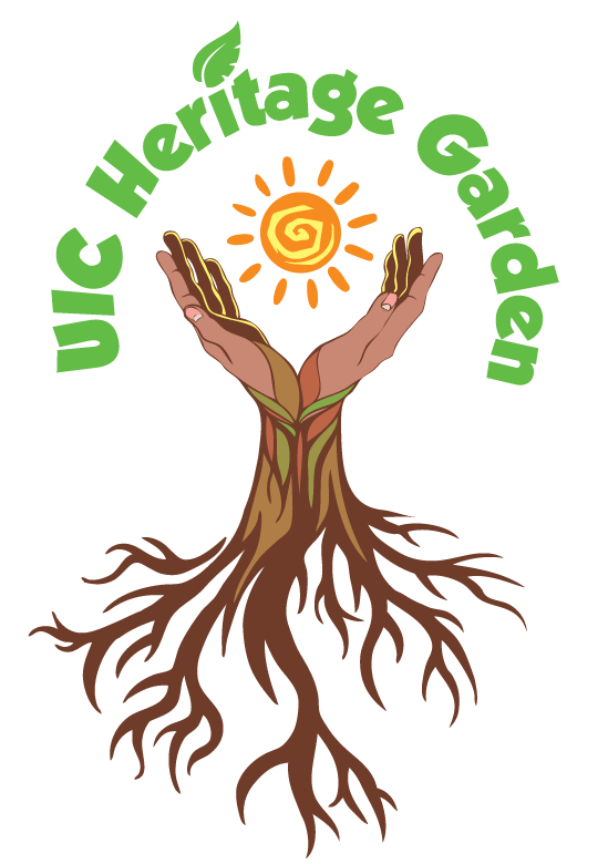 UIC Heritage Garden logo of hands holding a sun towards the sky with arms that turn into roots of different brown tones. The name of the internship program creates a green canopy over the hands.