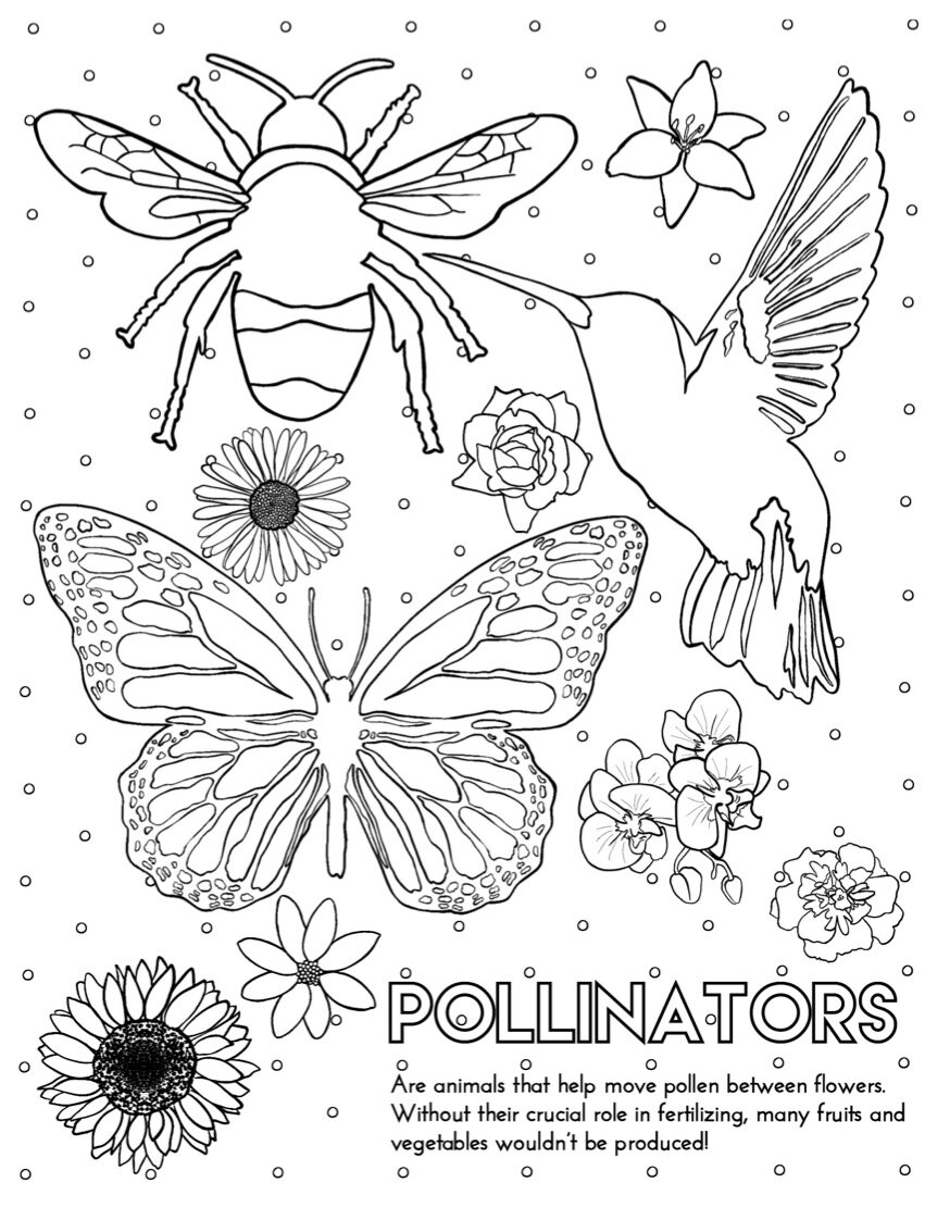 Page 9. Pollinators.