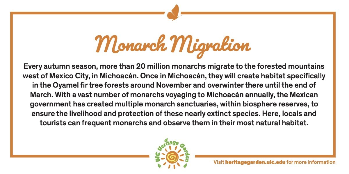 Monarch Migration text. Links to PDF of card.