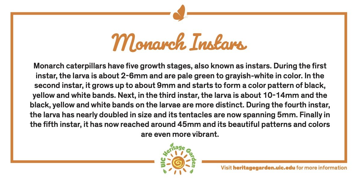 Monarch Instars text. Links to PDF of card.