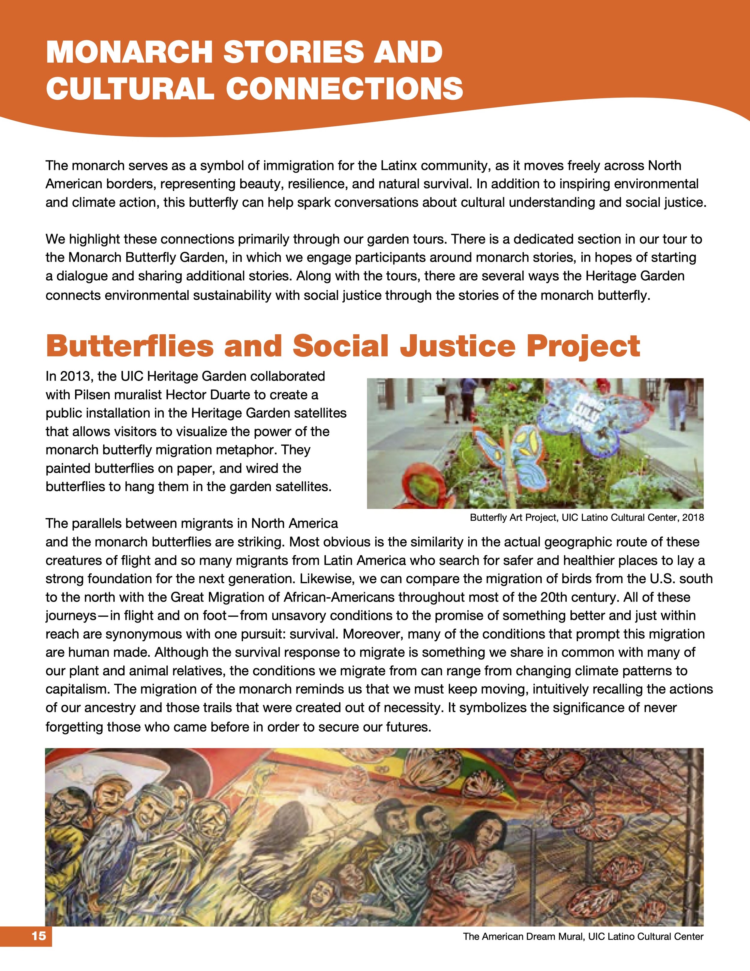 Butterflies and Social Justice