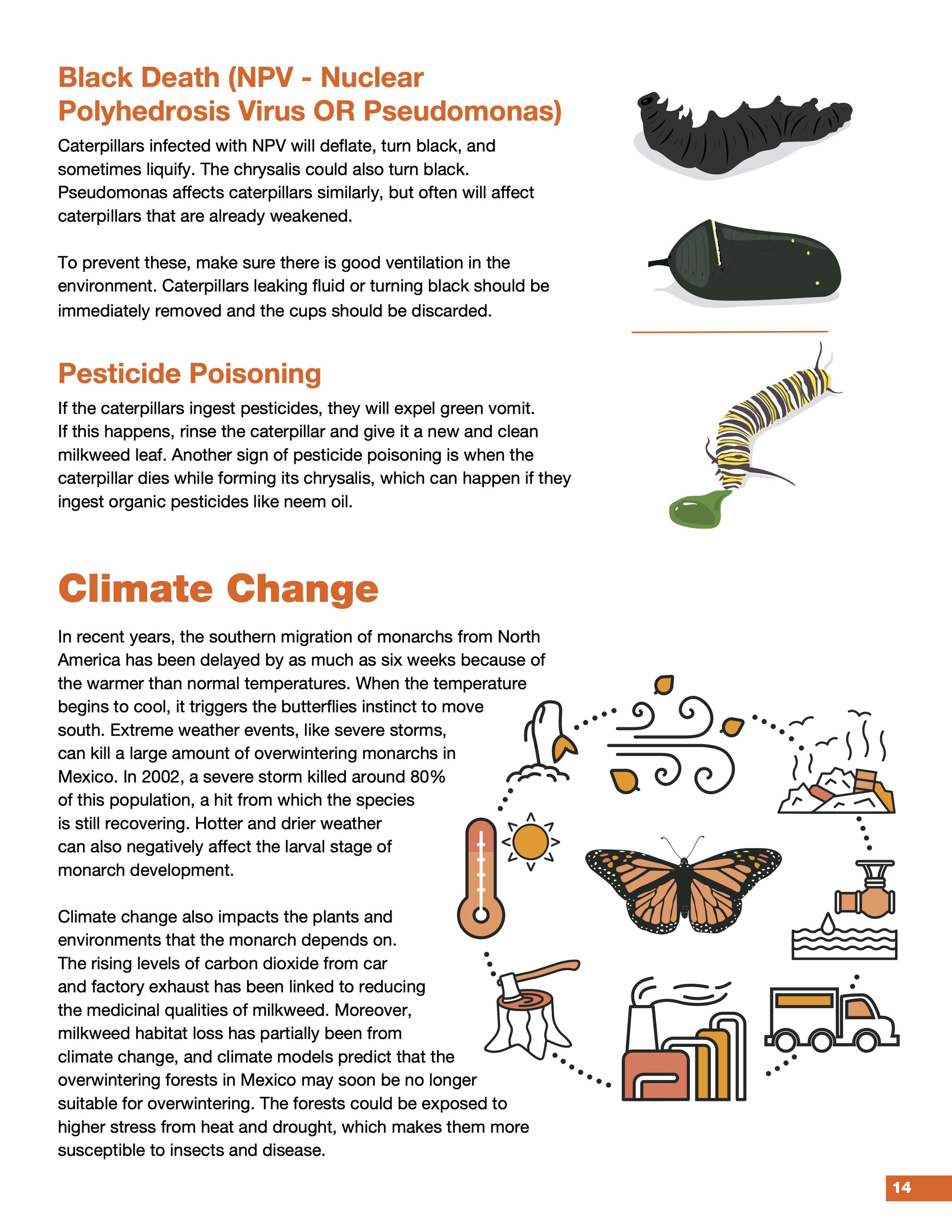 Common Monarch Concerns continued plus Climate Change