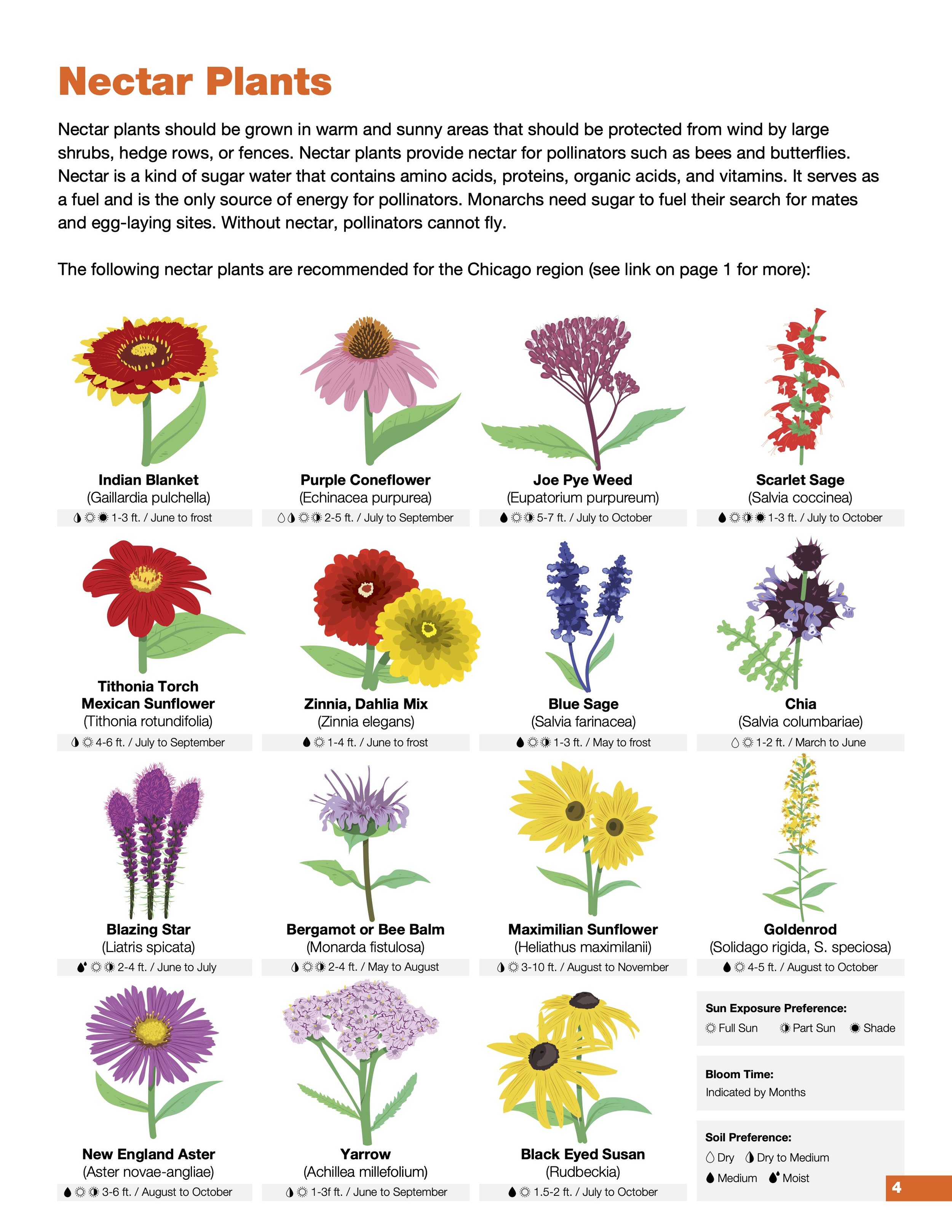 Nectar Plants