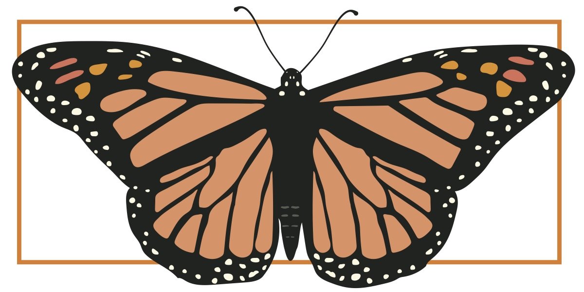 Anatomía de la Monarca imagen. Vinculada a un PDF de la tarjeta.