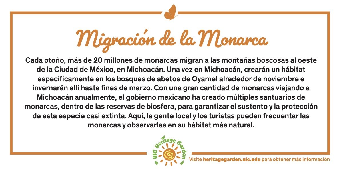 Migración de la Monarca texto. Vinculada a un PDF de la tarjeta.