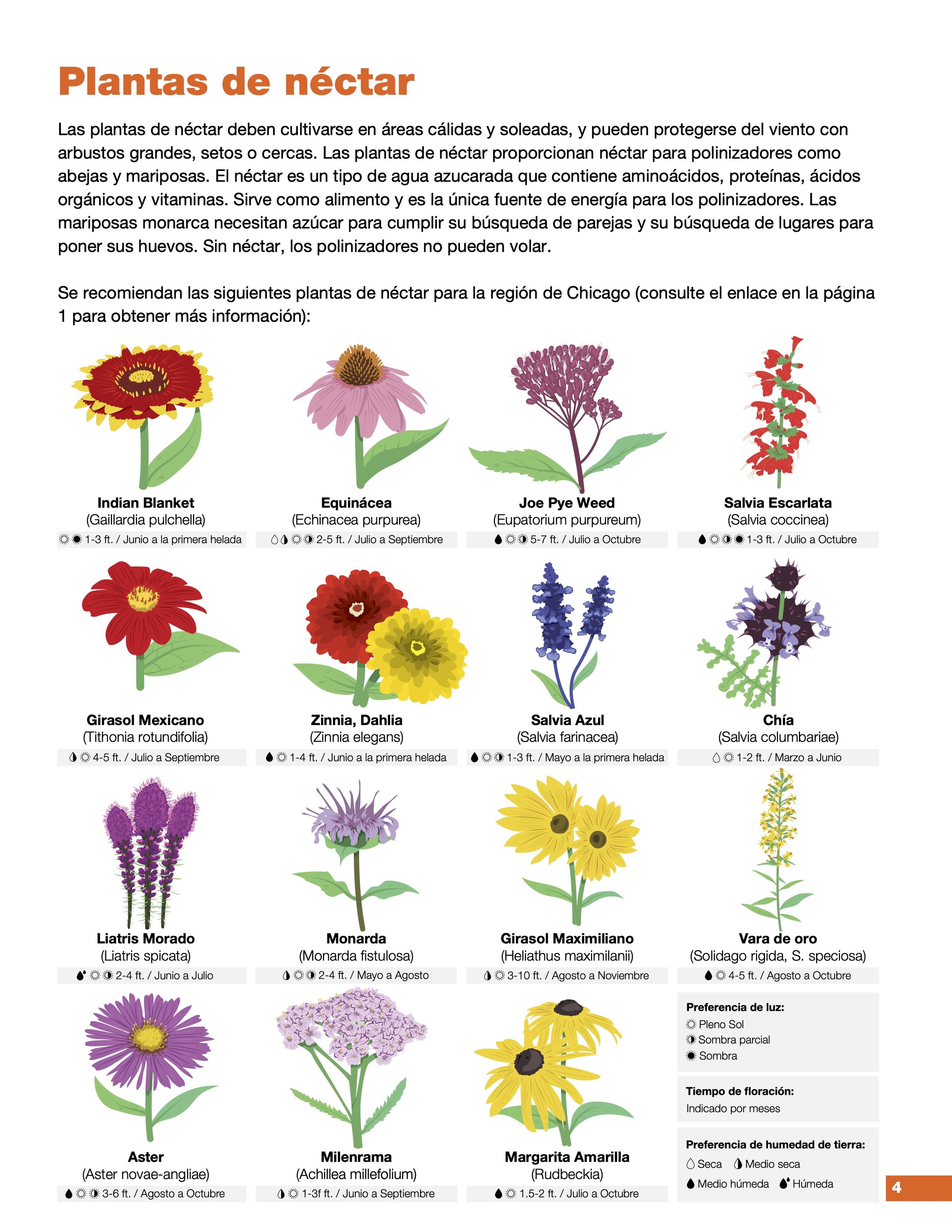 Guía Monarca Plantas de Néctar