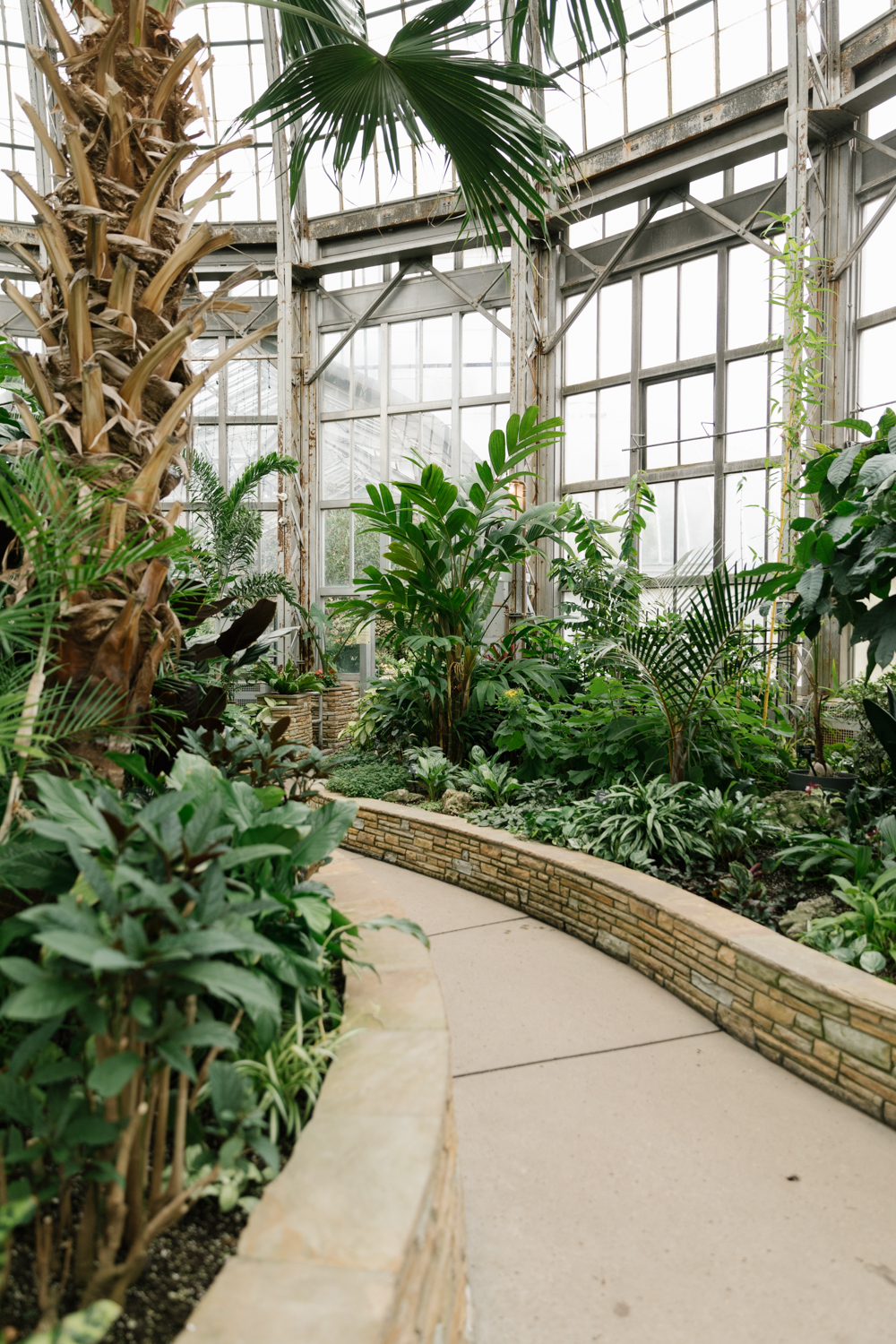 greenhouse-conservatory-plants-driftless-magazine