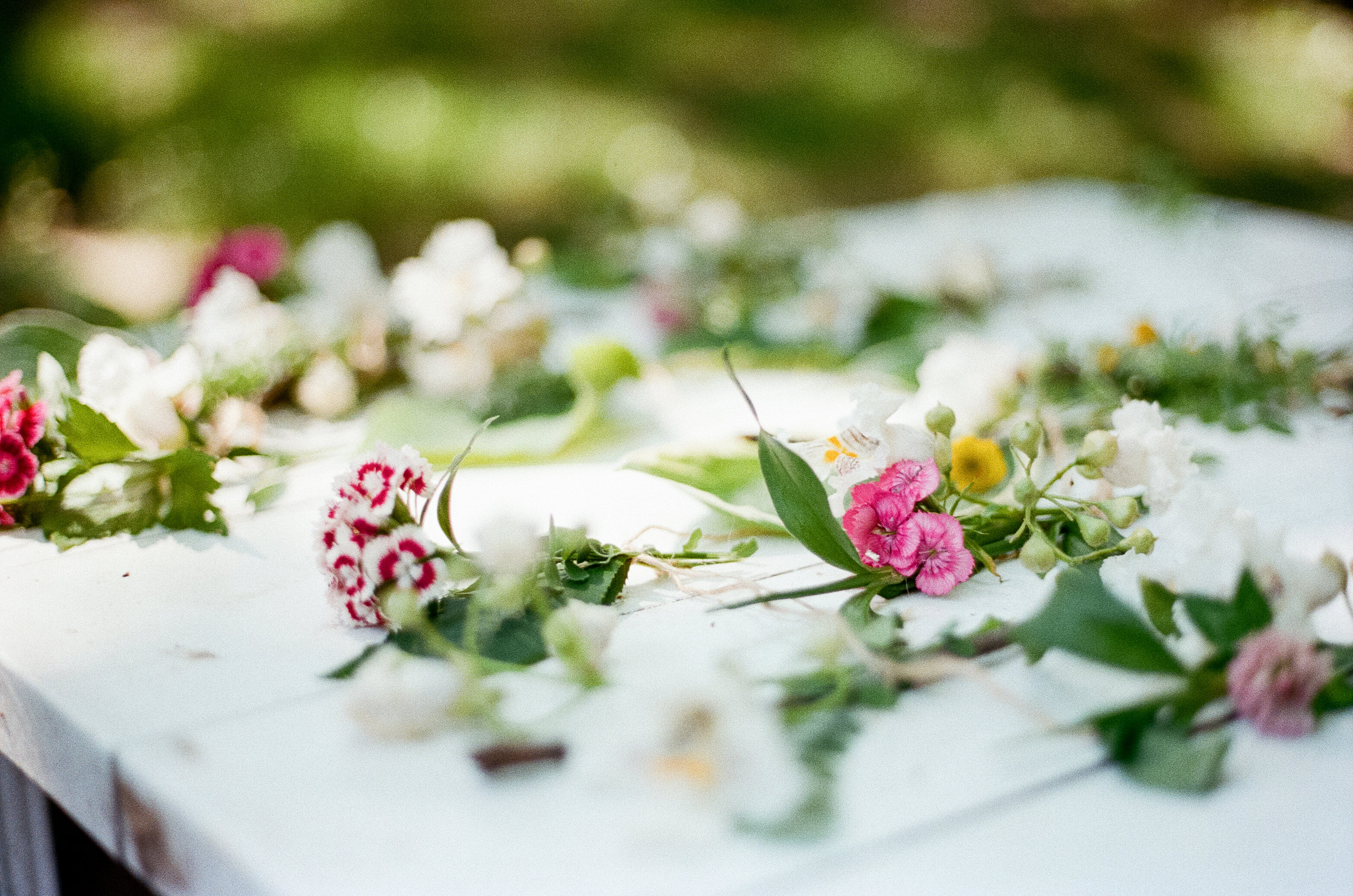 flowers-midwest-magazine-driftless-wisconsin