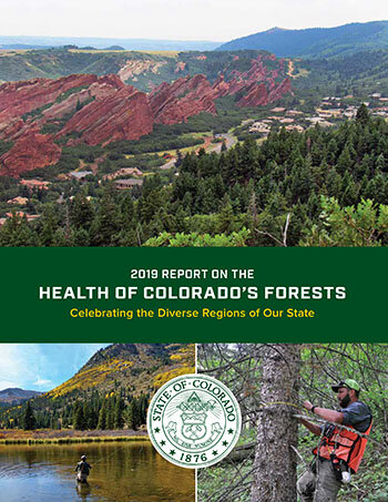 CSFS_Forest_Health_Report_2019_cover.jpg