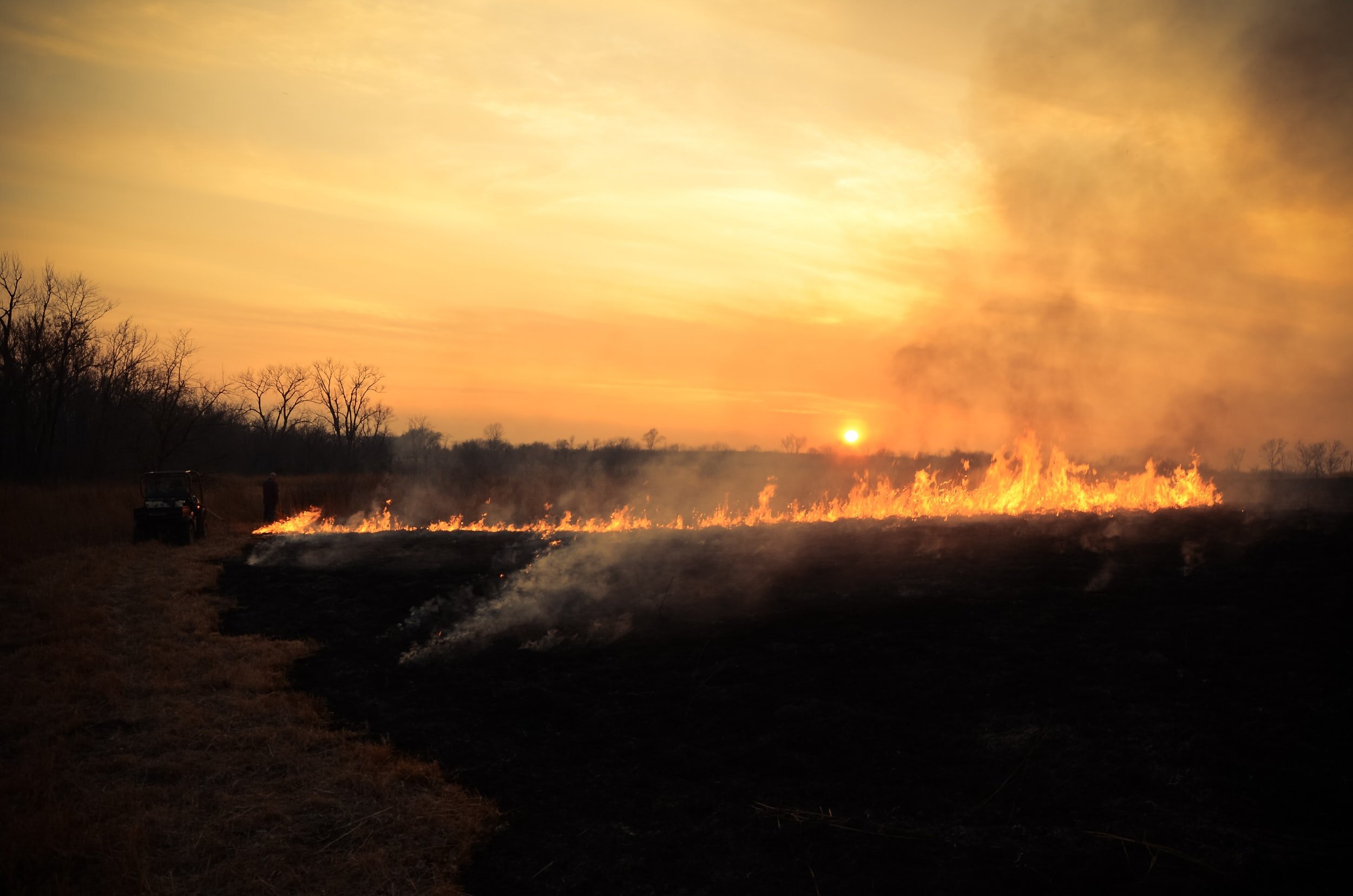 Prescribed Fire Training Exchange (TREX) adapts to COVID-19
