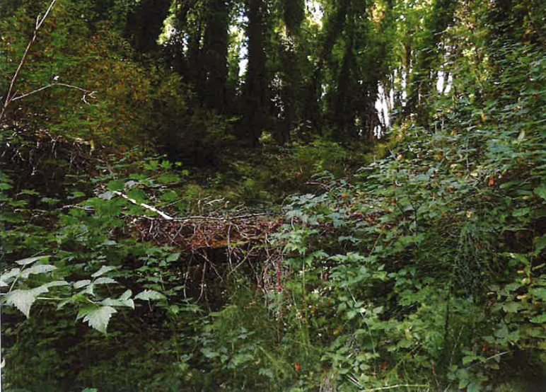 Environmental Overlay zone at risk
