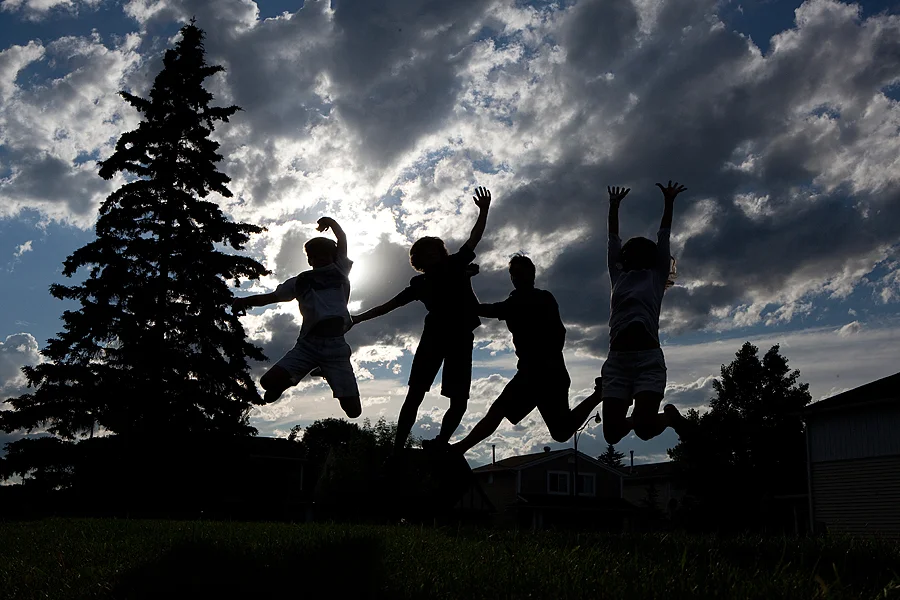 DIY vs Pro Organizer?