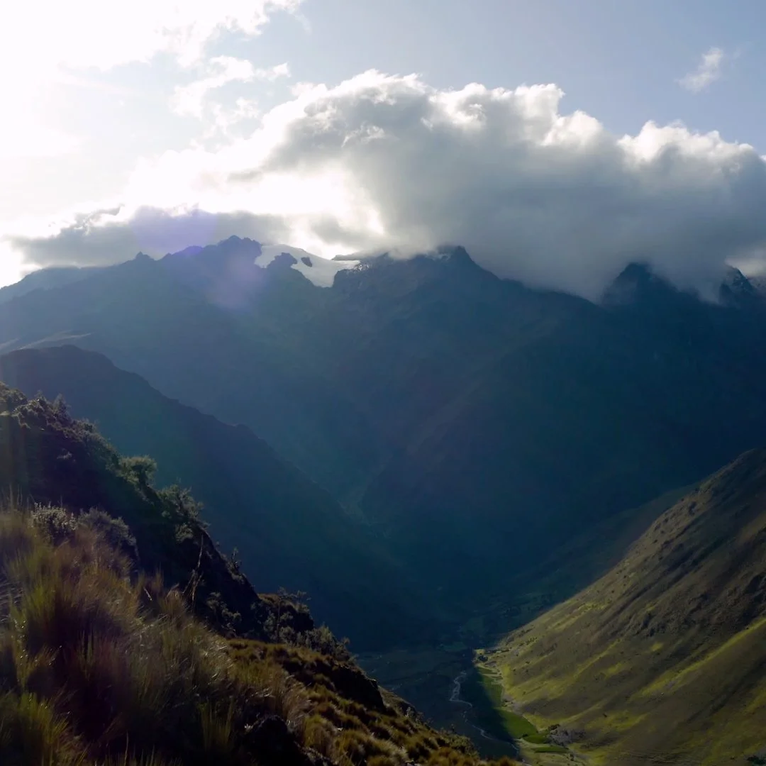 NZ+Thumb.jpg