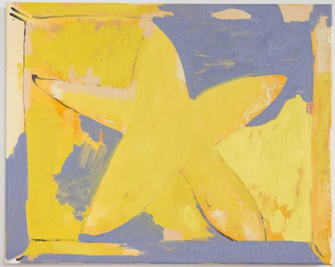 Yellow Star 2016 oil, acrylic and india ink on canvas 16"h x 20”w
