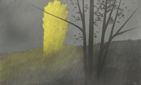 EVENING LUMINESCENCE, OIL ON CANVAS, 17"H 27"W