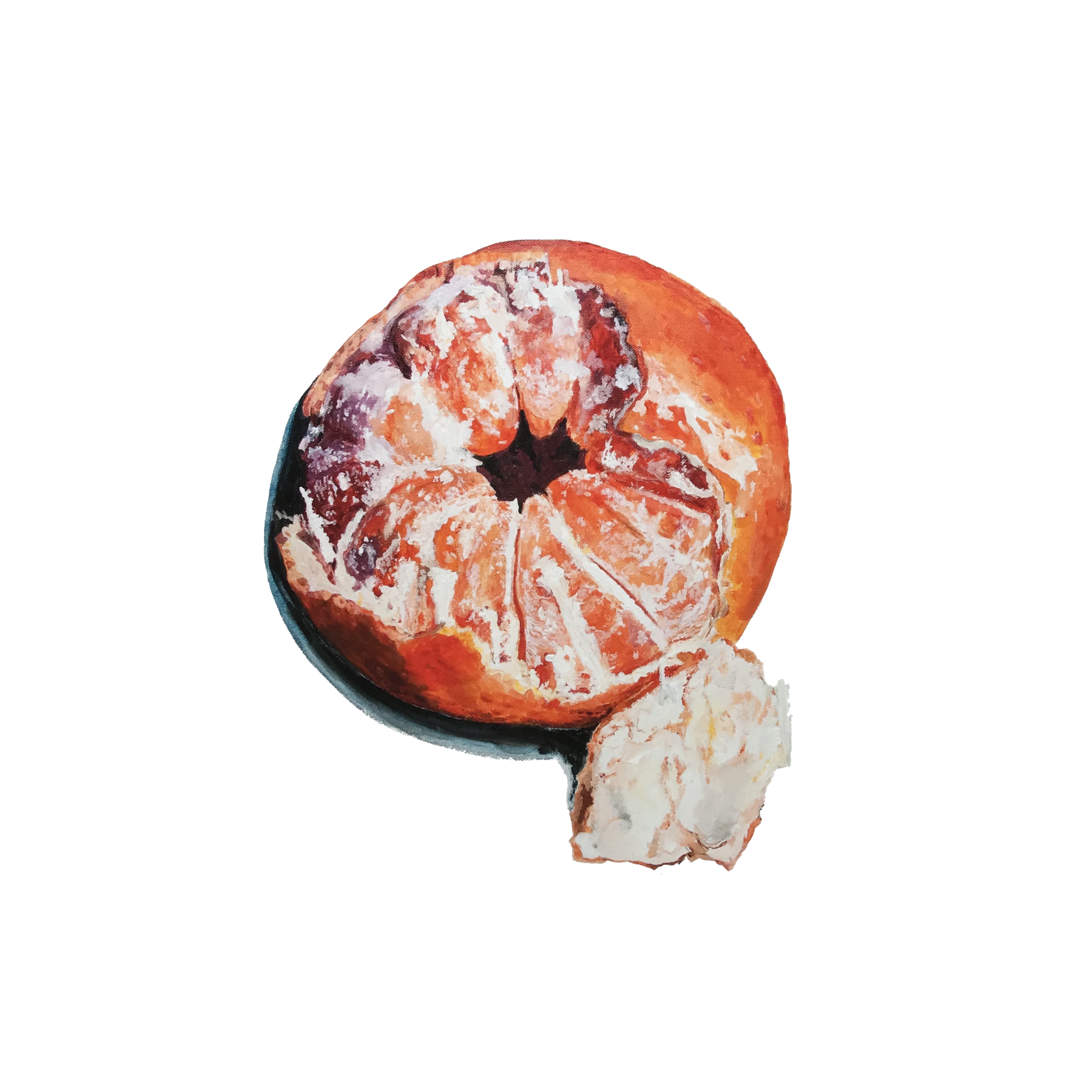 website white background orange-2.png