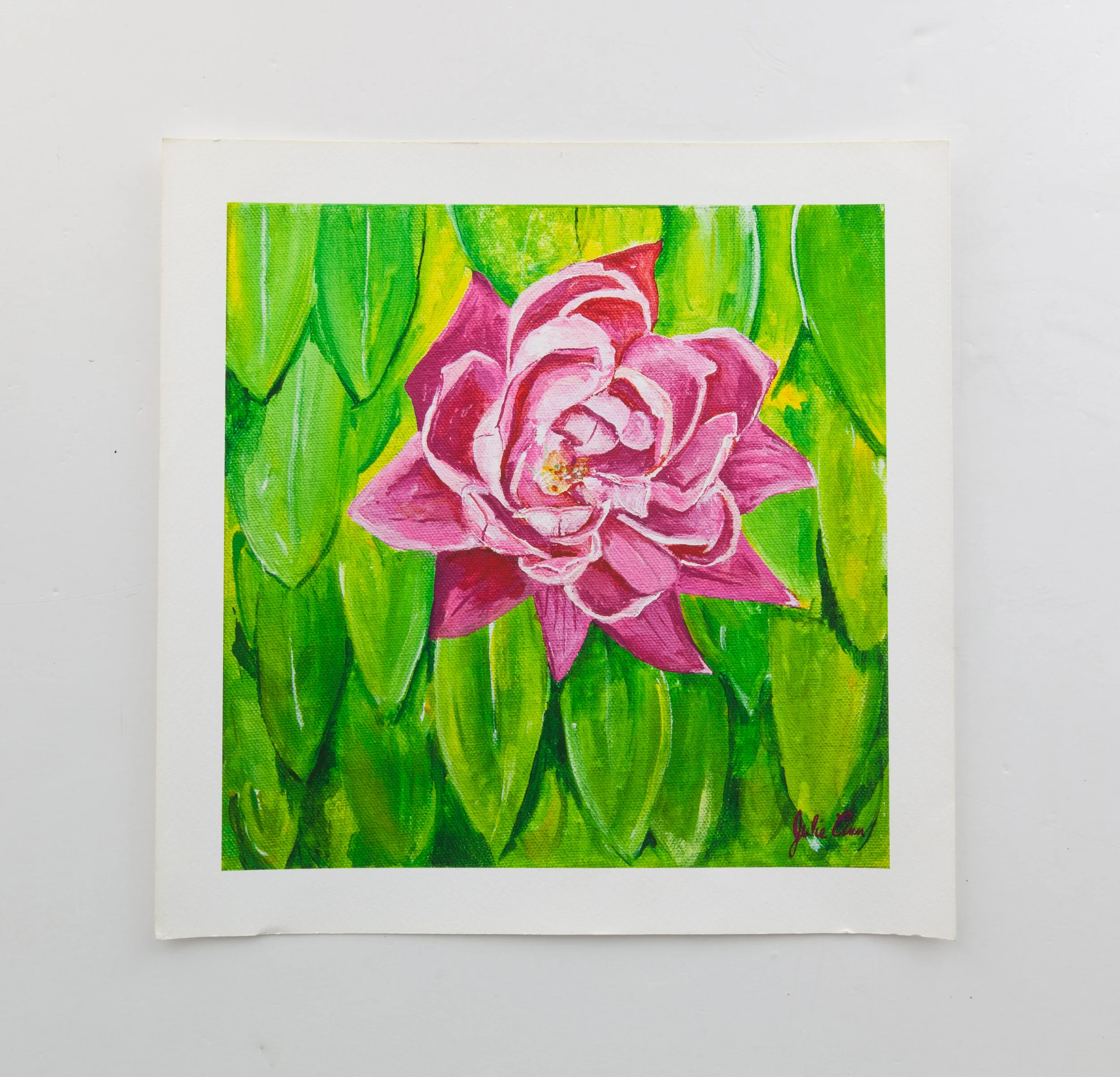 TaraCarterPhotography(14of50).jpg