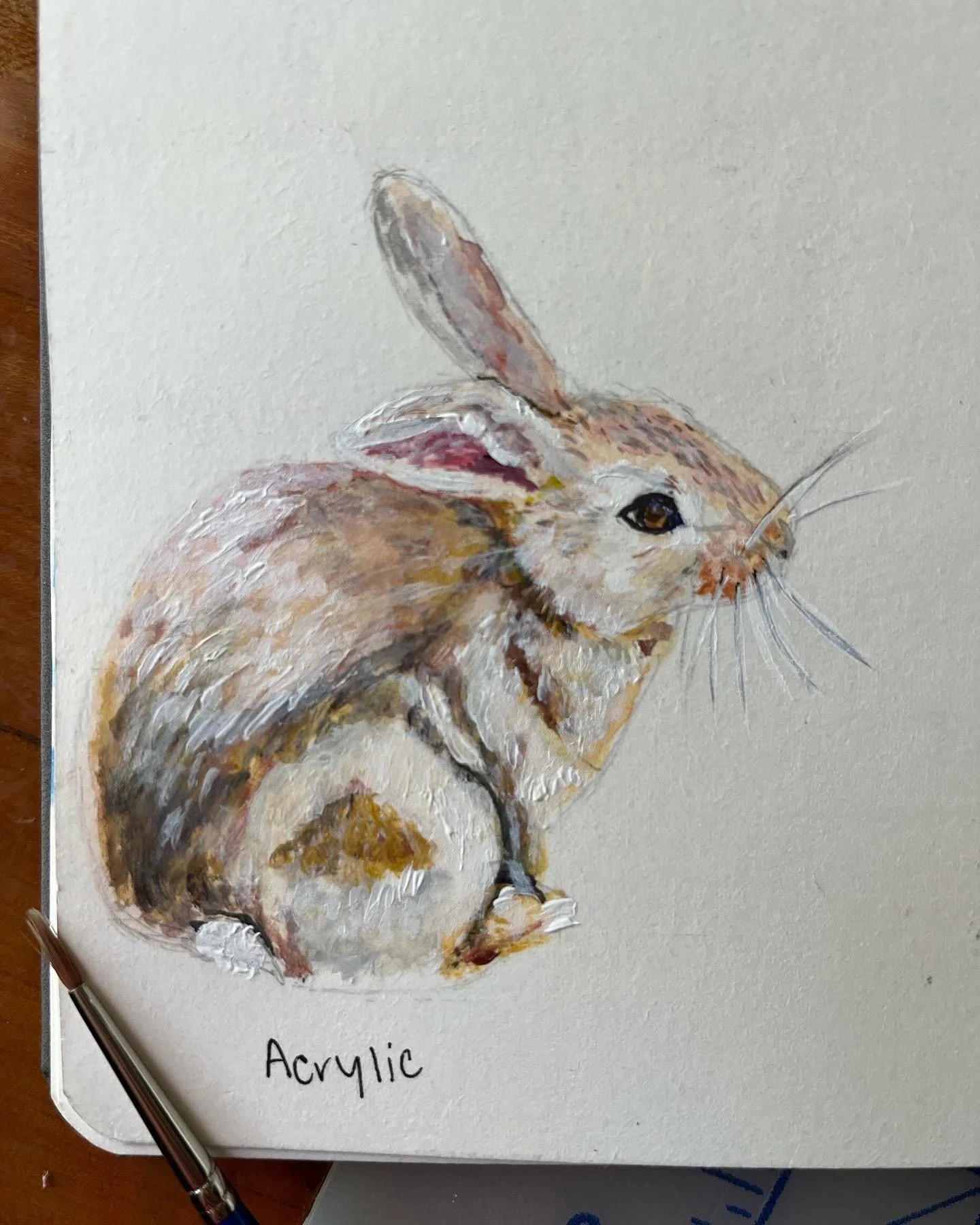 Bunny (acrylic paint)