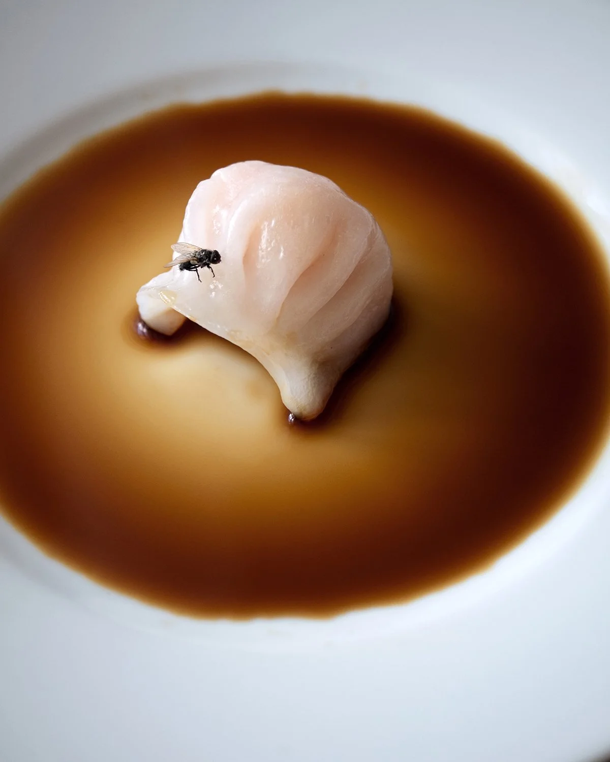 Hana Sackler_Dumpling Delight.jpg