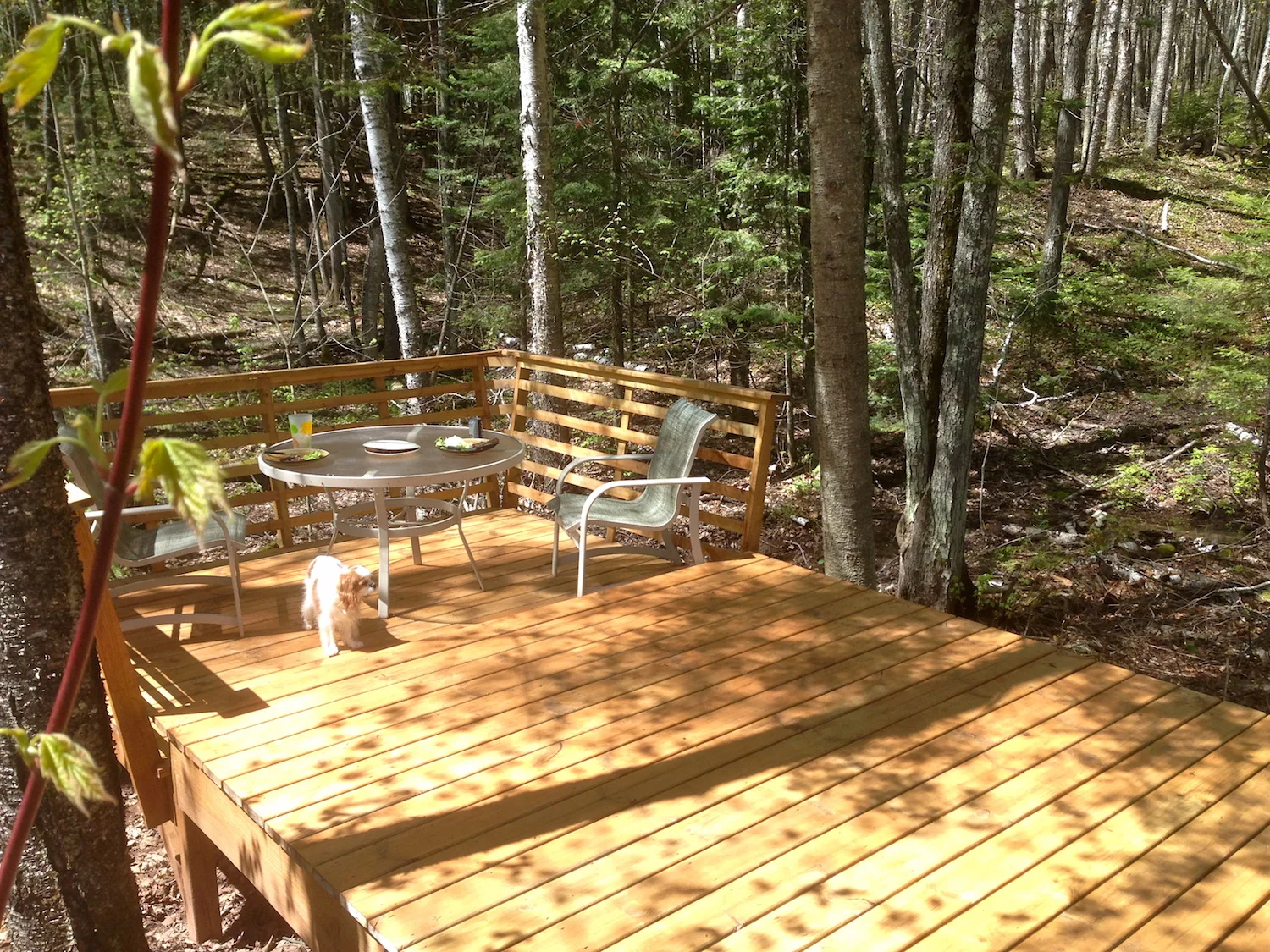 Hauser's Bayfield Cabin, Bayfield WI — Near the Apostle Islands, Ice