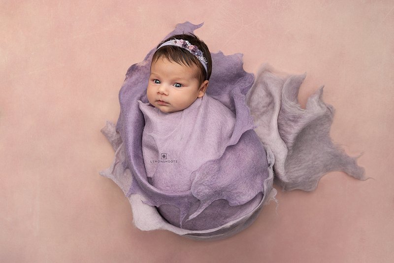 Newborn swaddle photos cheap
