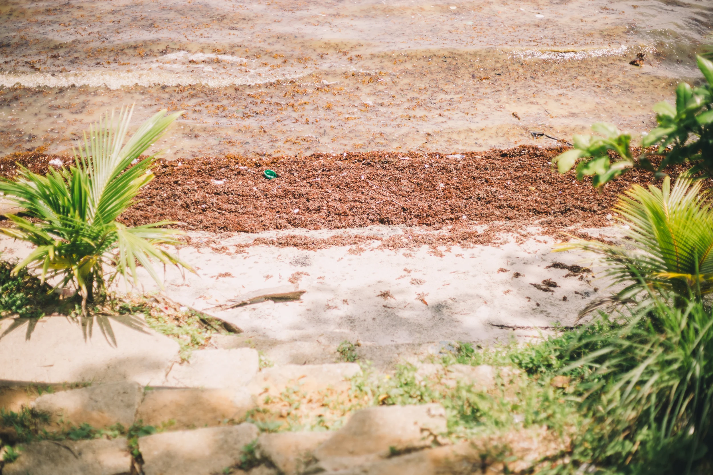 Guatemala2015-412.jpg