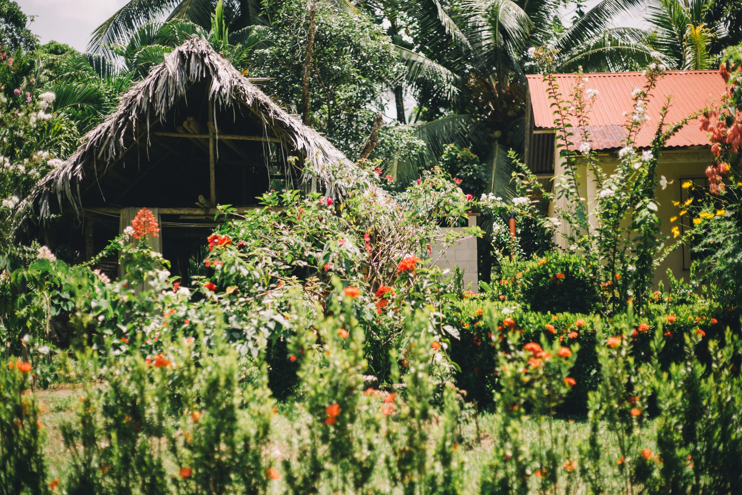 Guatemala2015-453.jpg