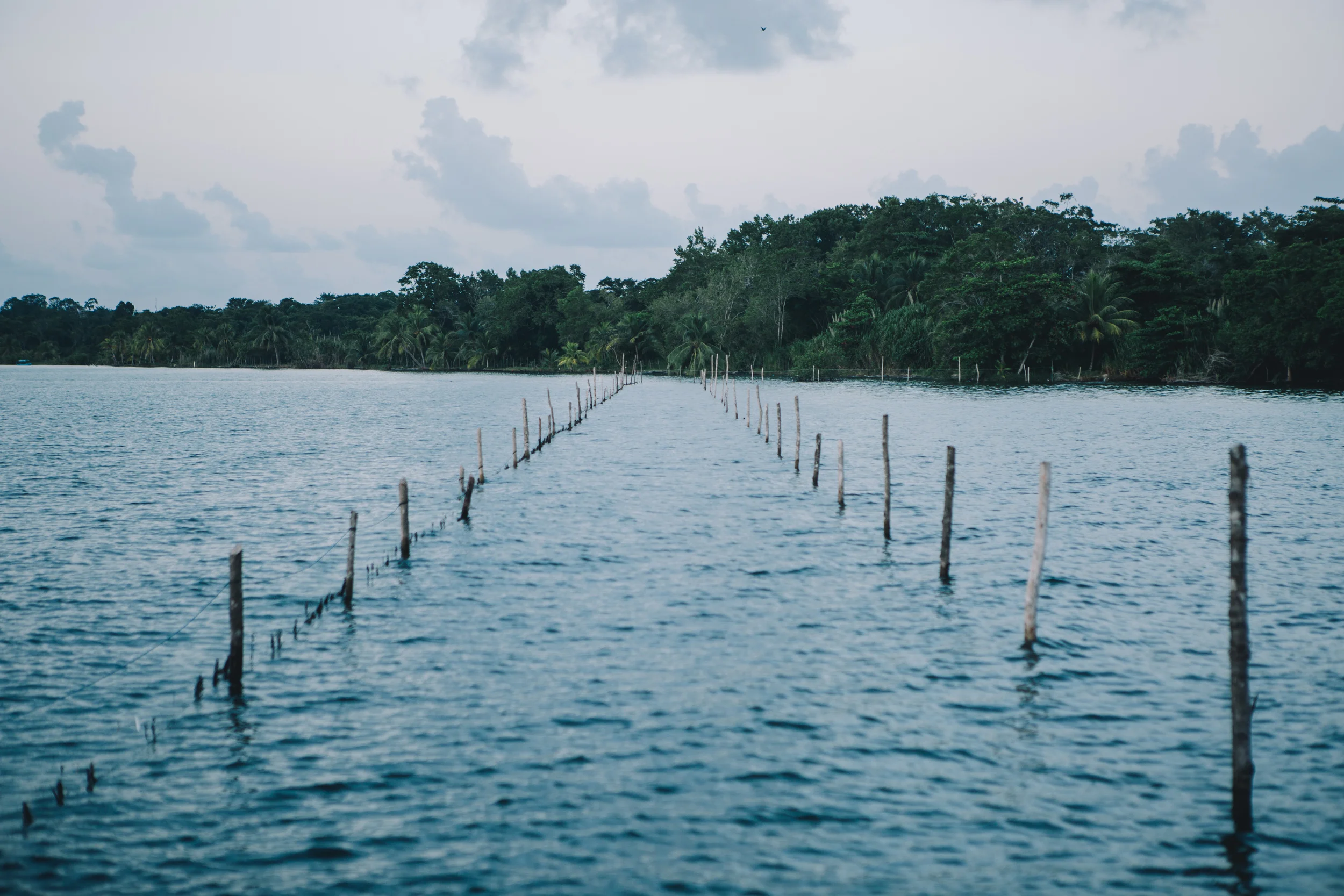 Guatemala2015-515.jpg