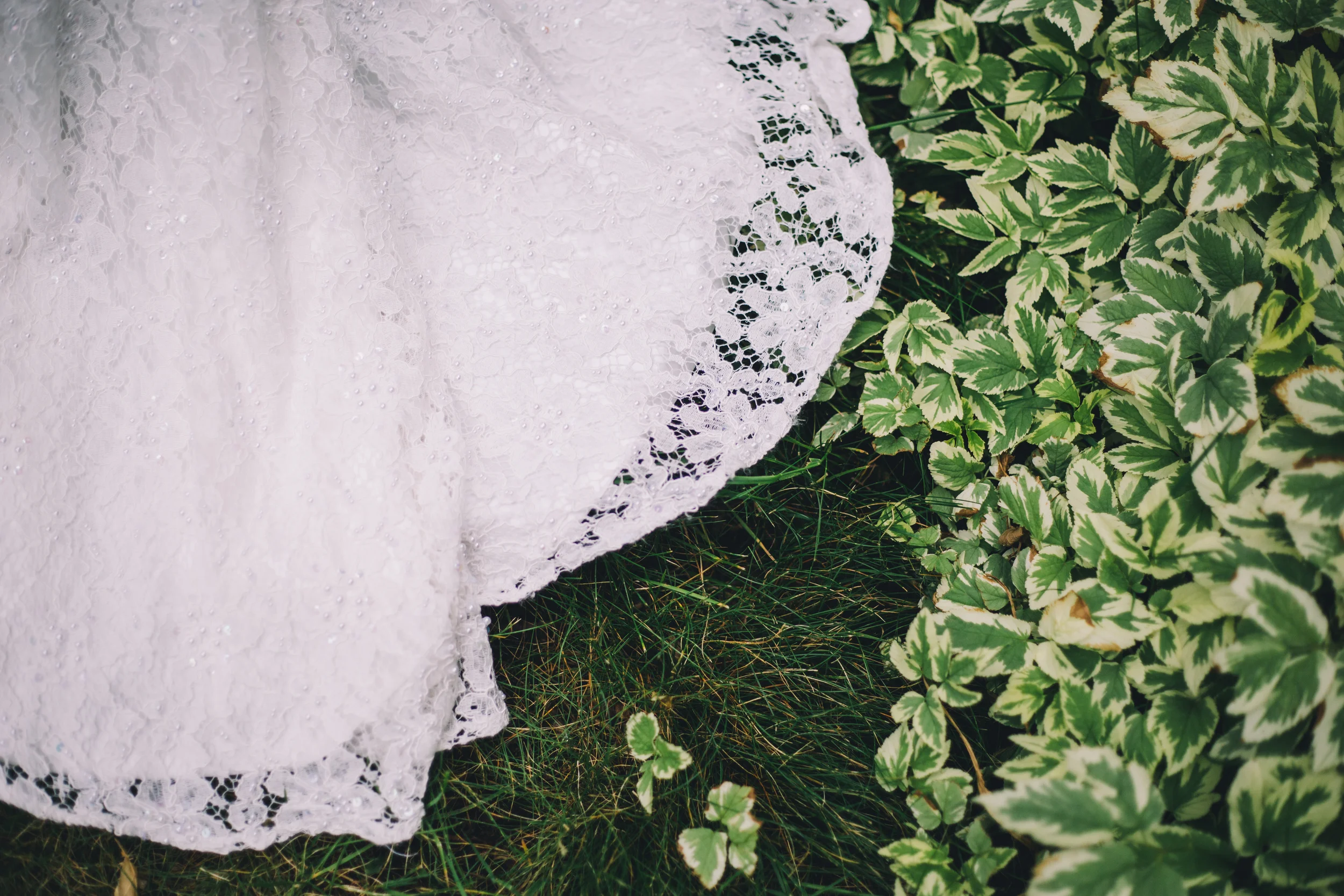 Mike&Haley (49 of 322).jpg