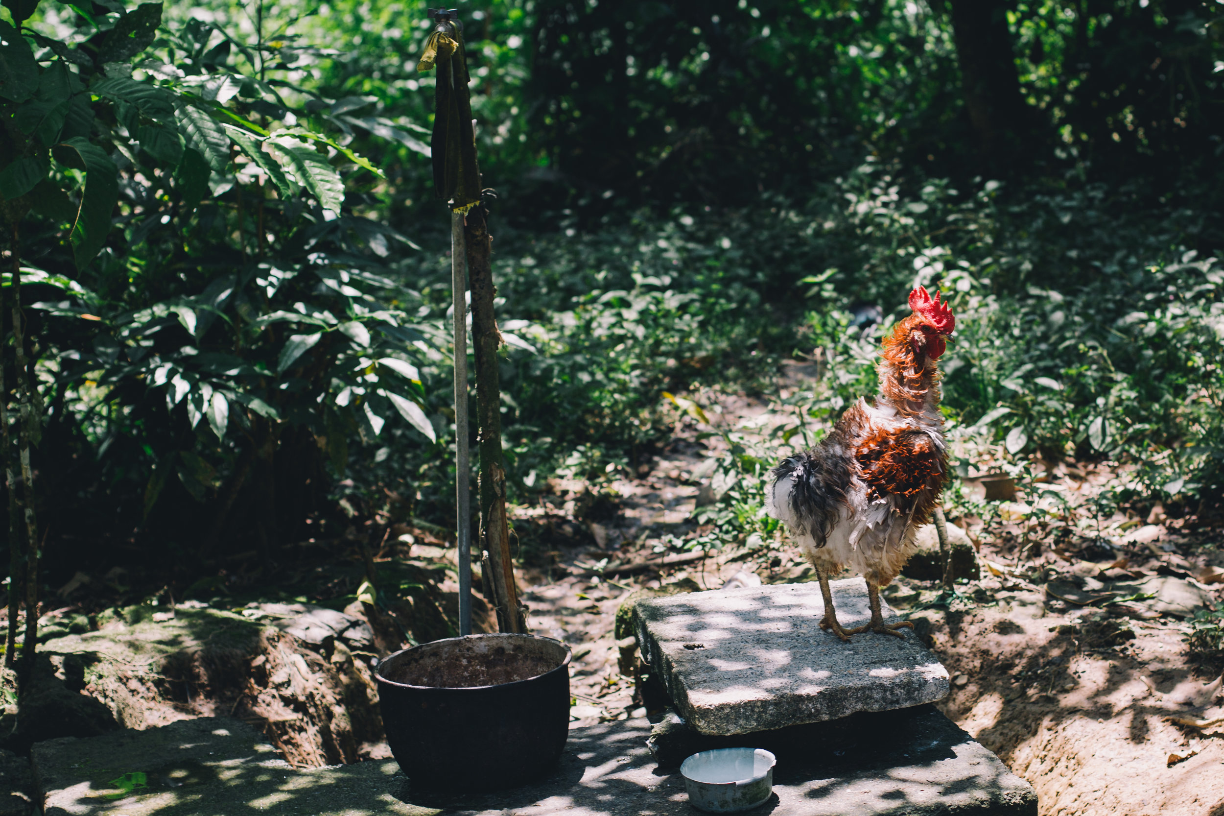 Guatemala2017-120.jpg
