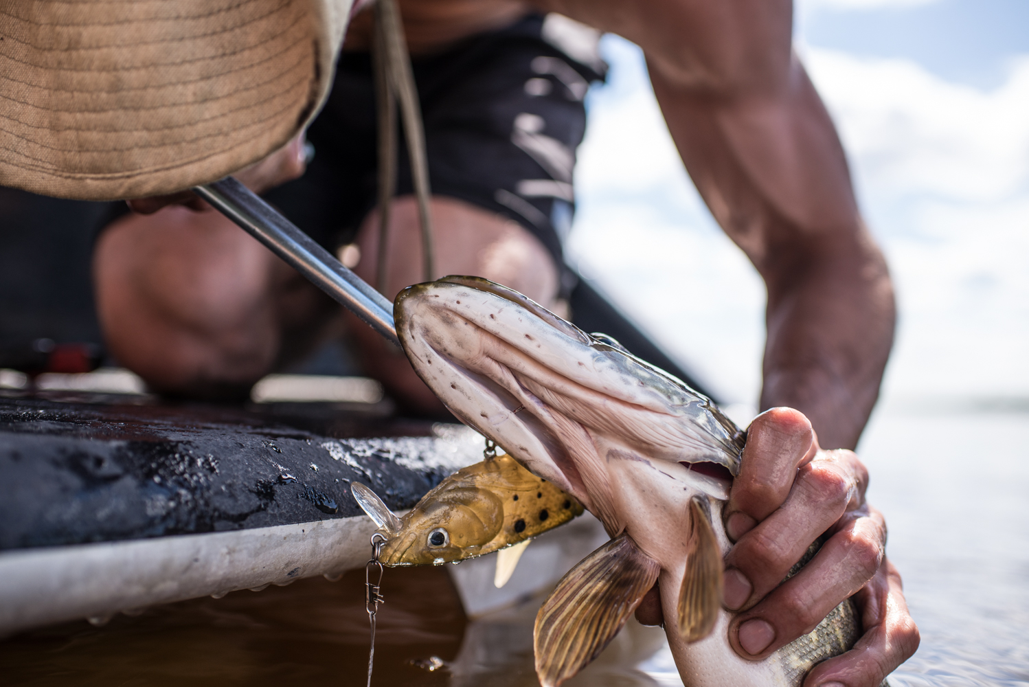  Lenny Hansen Jr. releasing a jackfish, July 2017. 