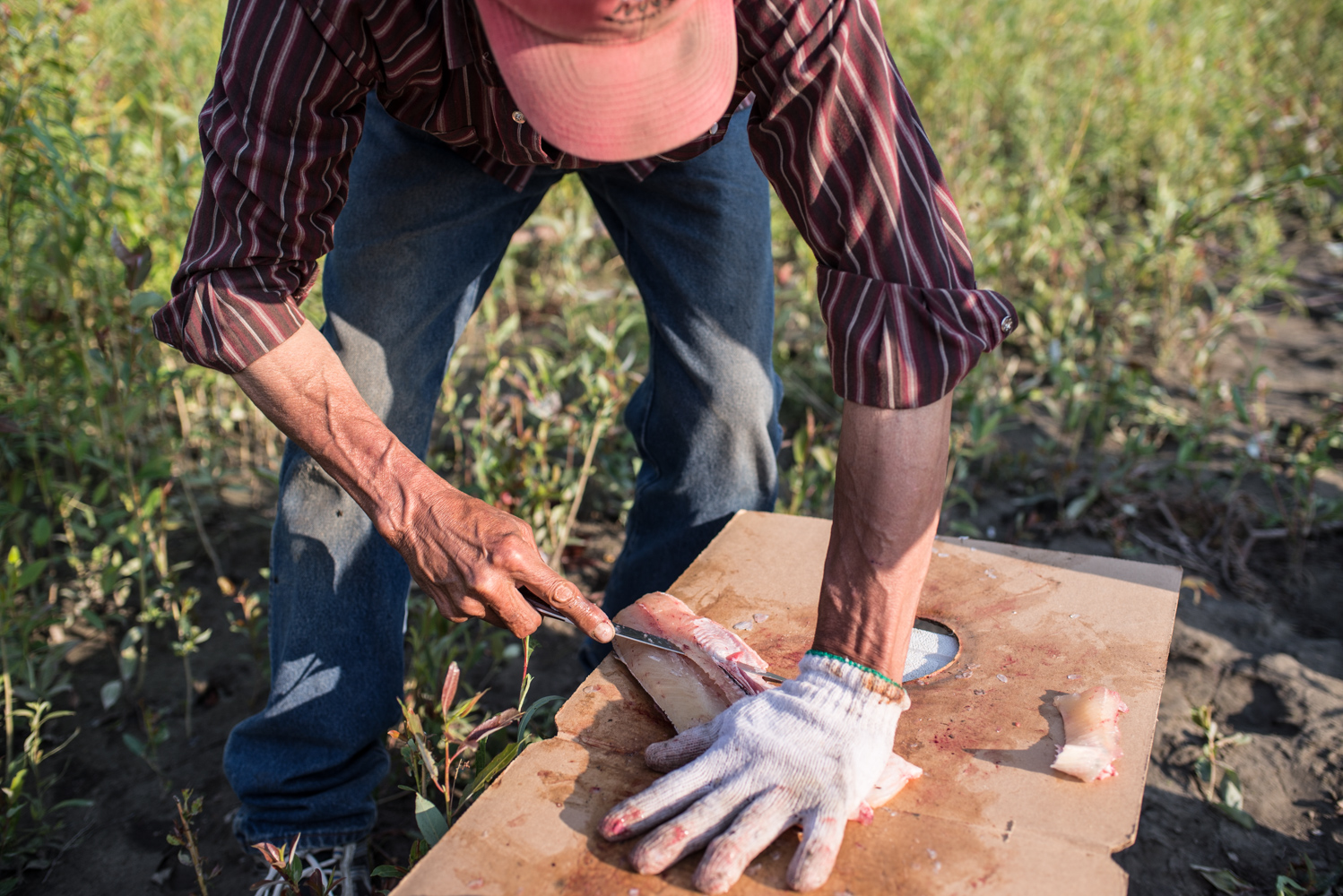  Roy used to cut 1000 fish a day working in the Lake Athabasca commercial fishery, July 2017. 