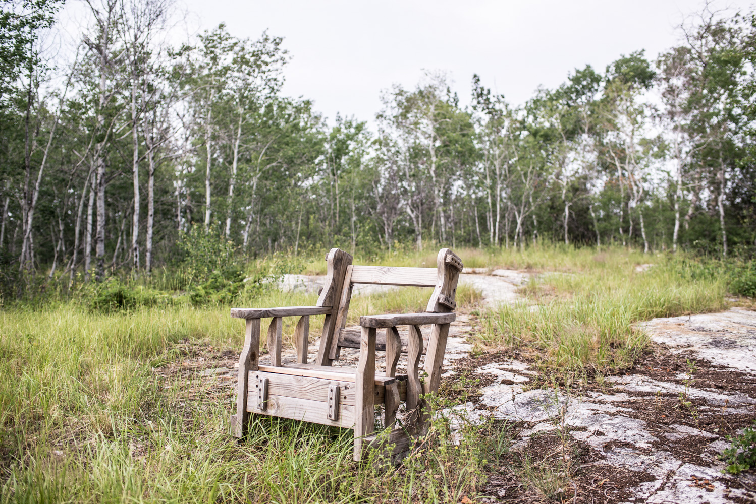  Archie’s chair, July 2017. 