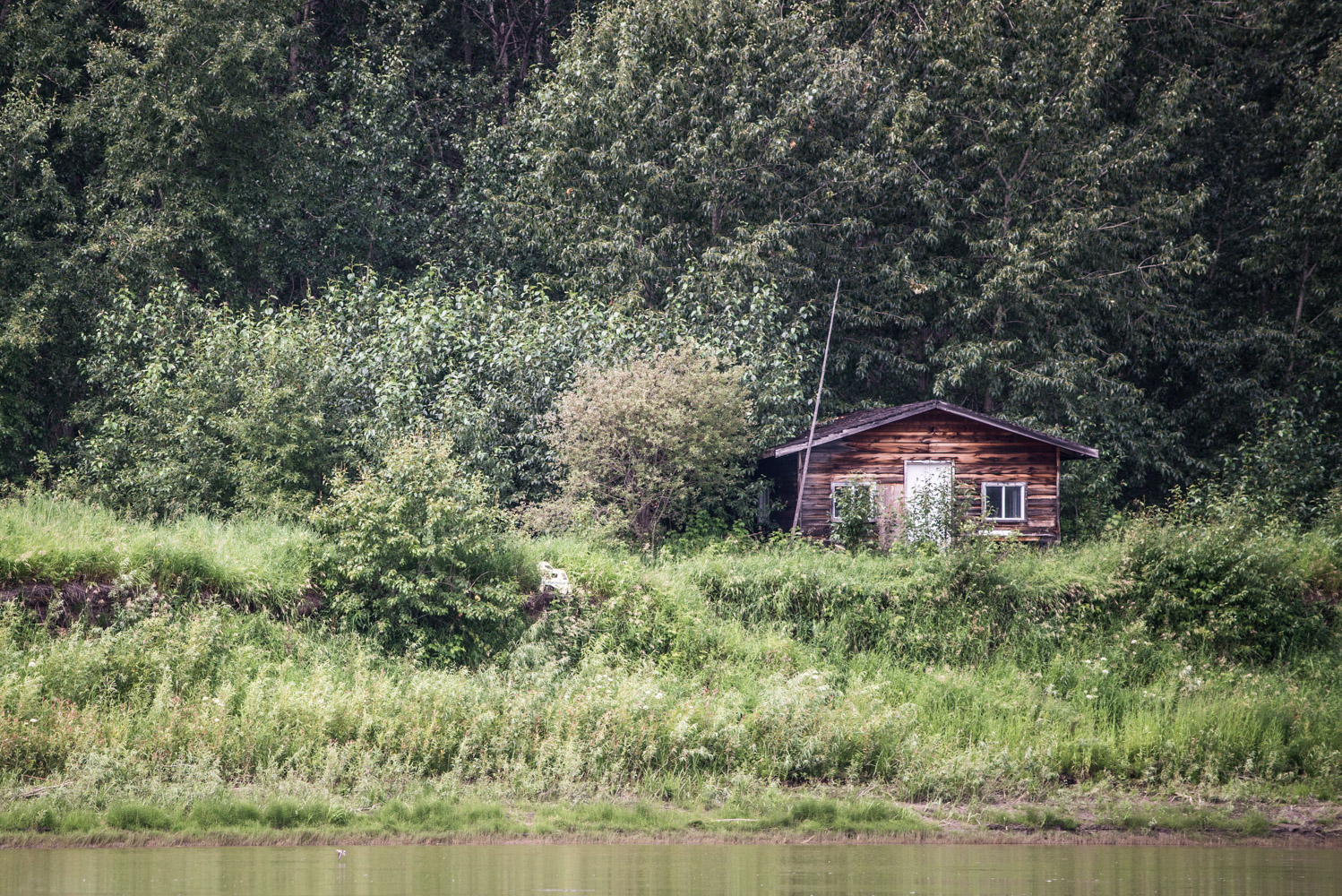  Snowbird’s cabin, July 2017. 