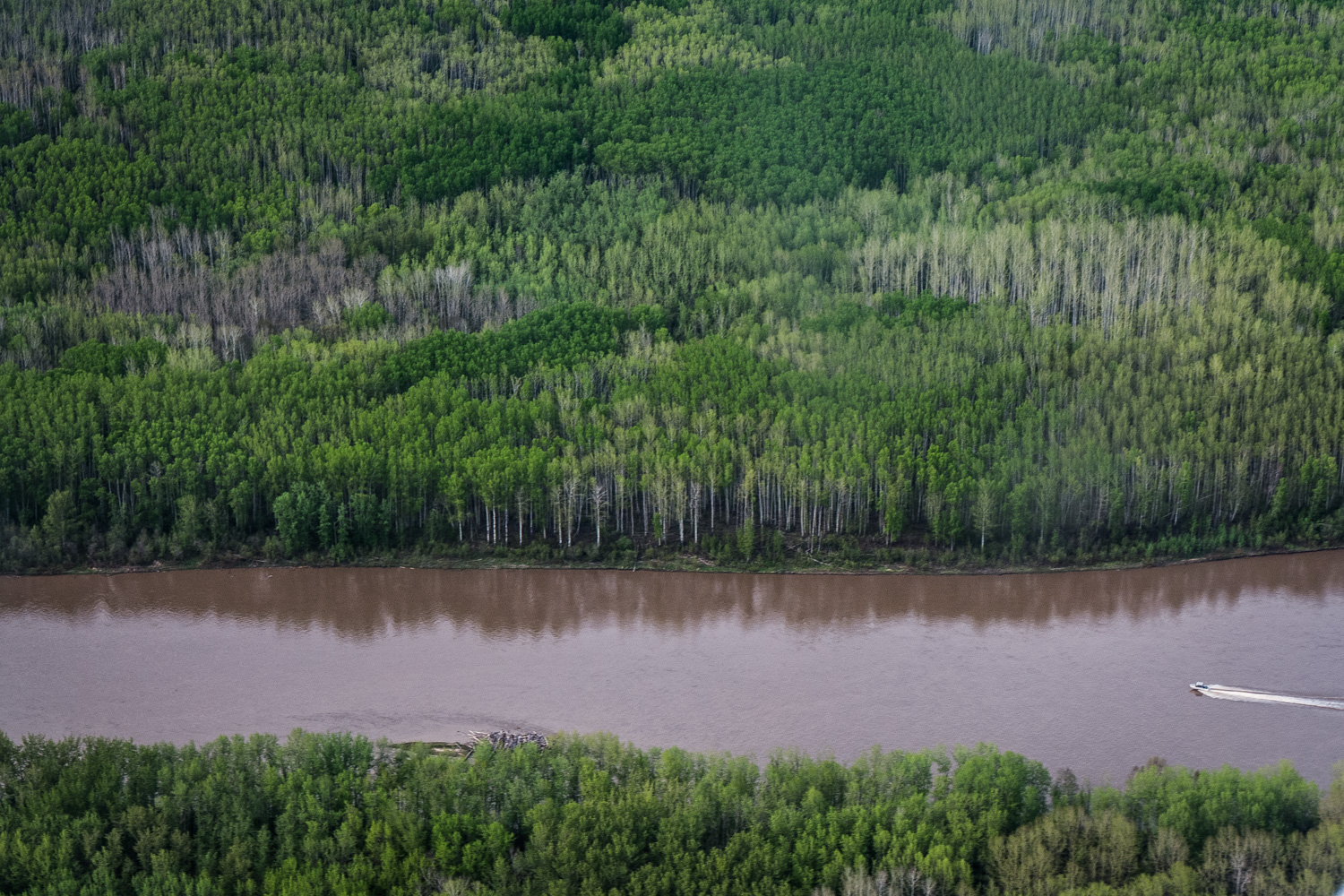  Clearwater River, August 2014. 