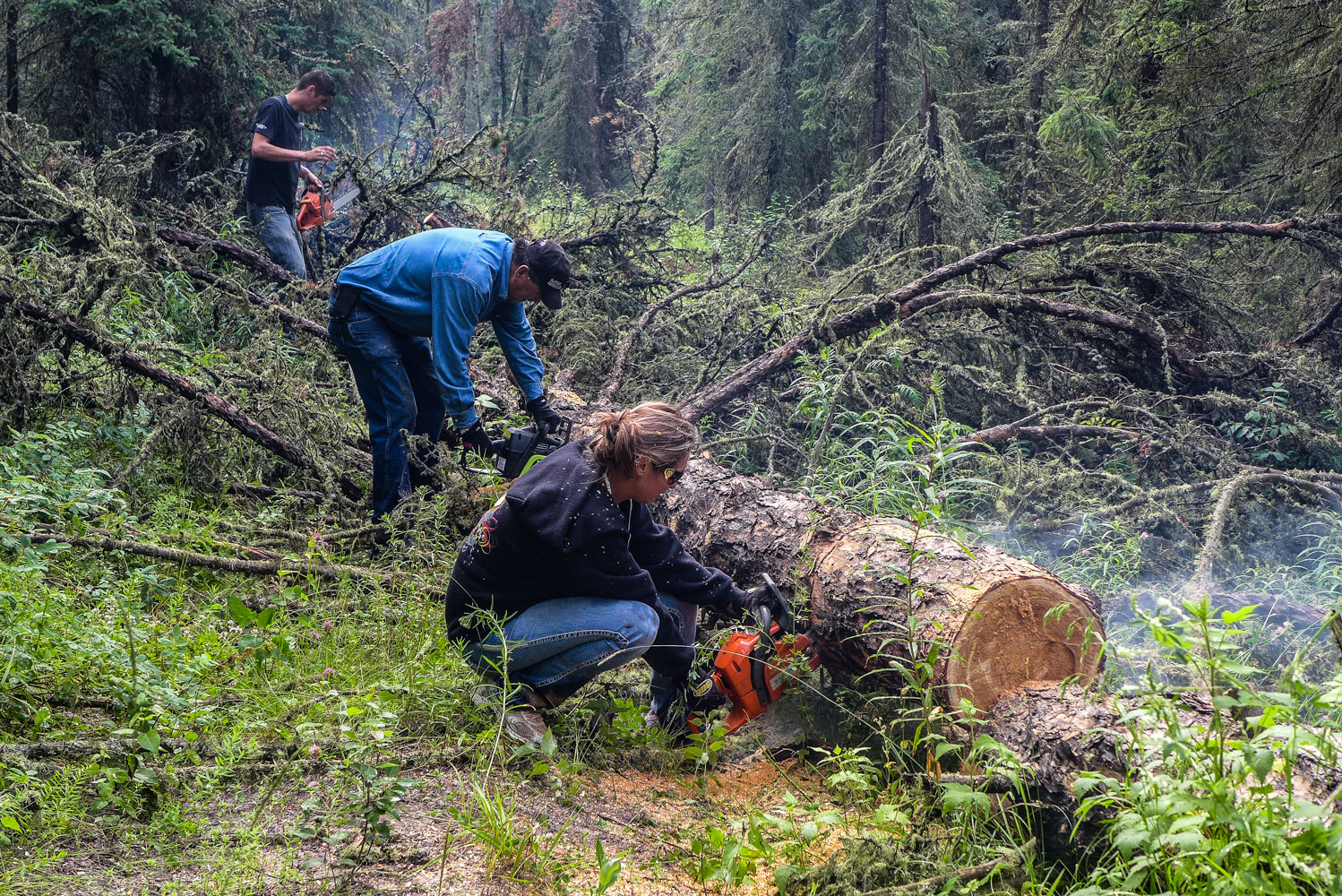  The Golosky family clearing a down tree, July 2014. The Golosky family owns traplines near Fort McMurray that have been passed down through the generations. 