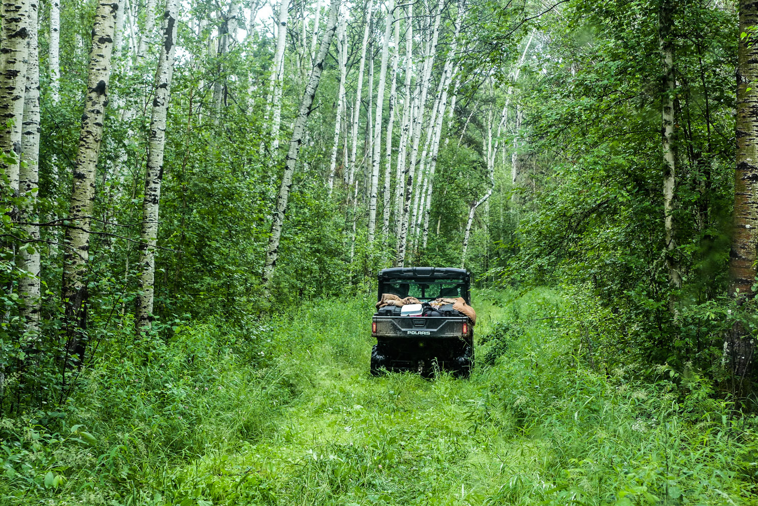  Touring the Golosky traplines with Tara Joly for a Traditional Land Use study, July 2014. 