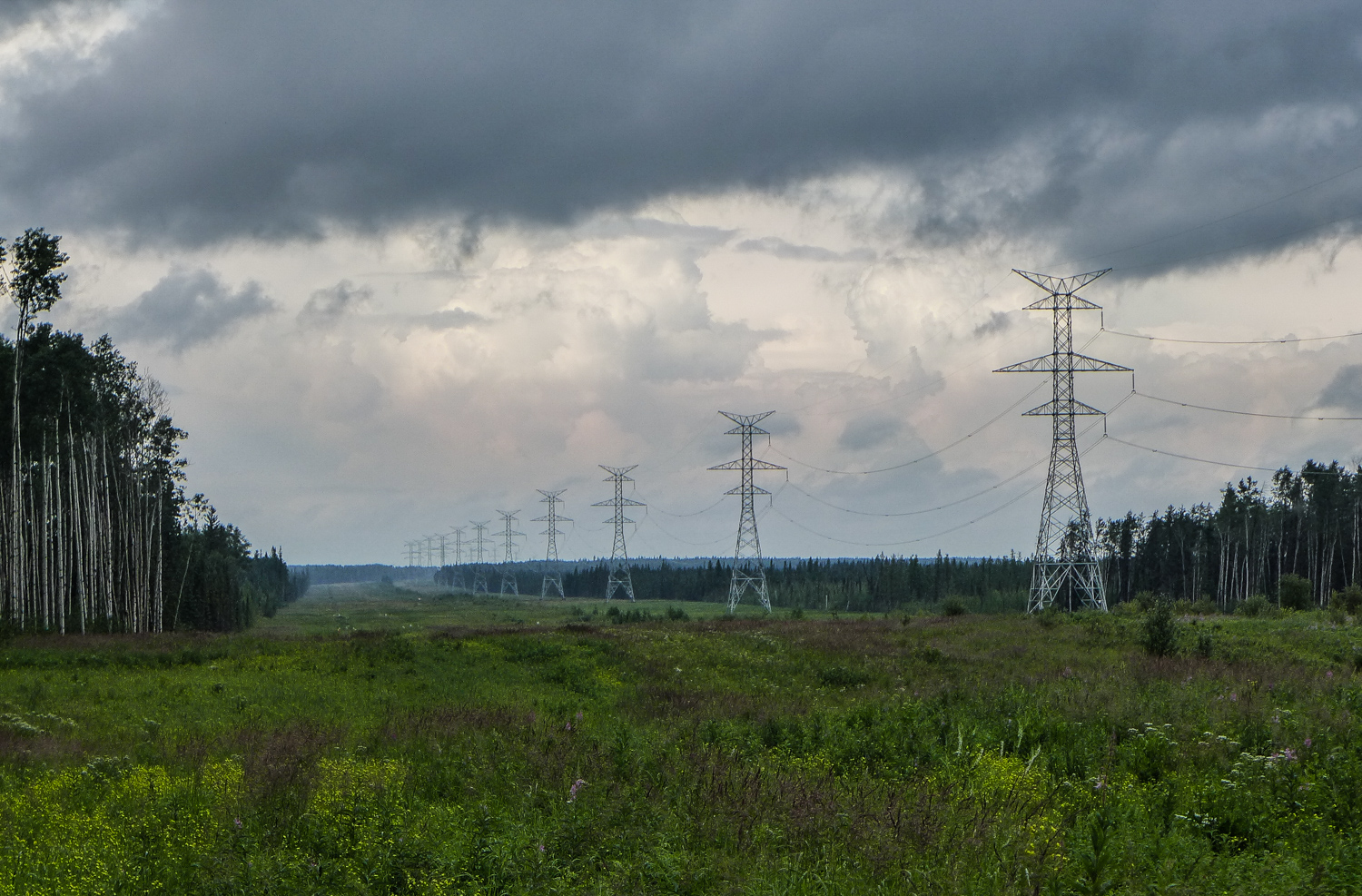  Major power and pipeline corridor west of Fort McMurray, July 2014. 