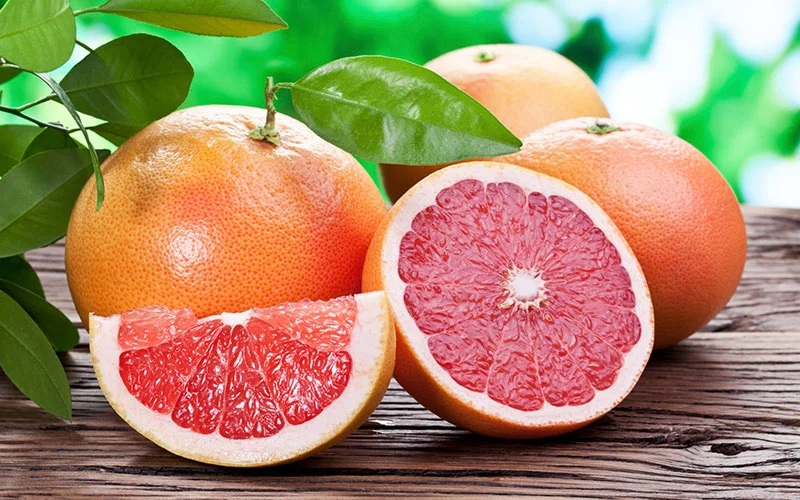 grapefruit-citrus-trees-for-sale.jpg