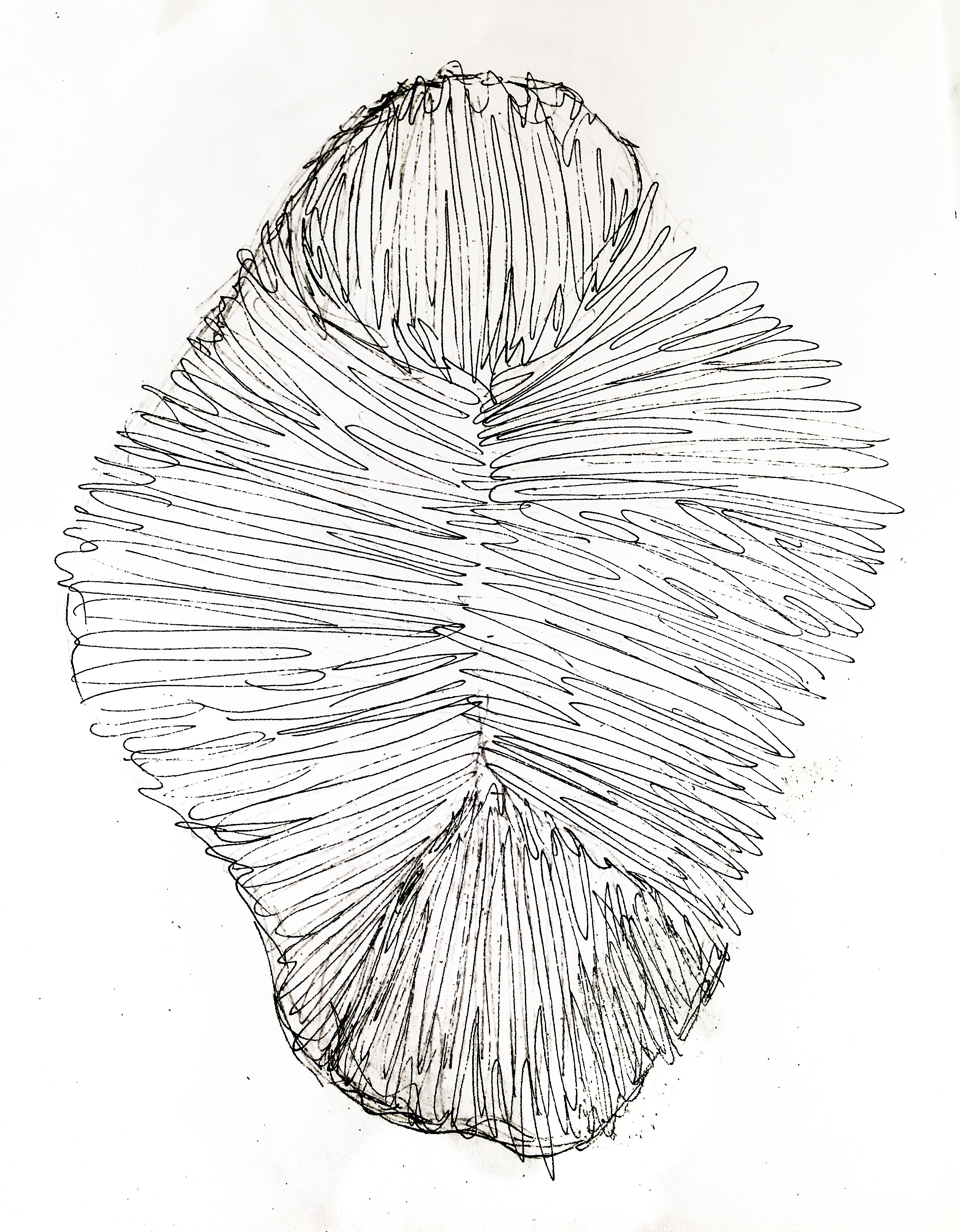 sarah-barnard-design-wall-sconce-prototype-sketch-1.jpg