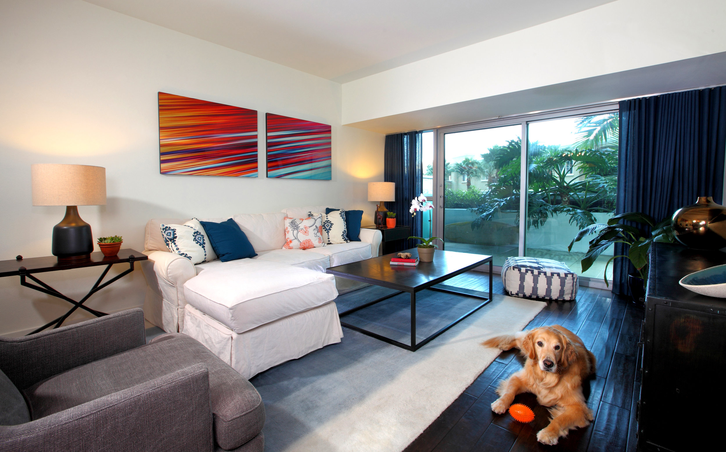 Sarah-barnard-design-dog-modern-livingroom.jpg