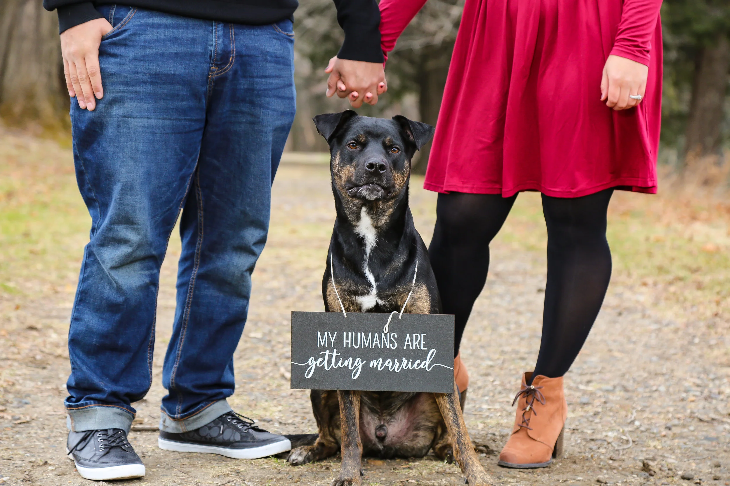 Treja Nicole Photography-3671.jpg