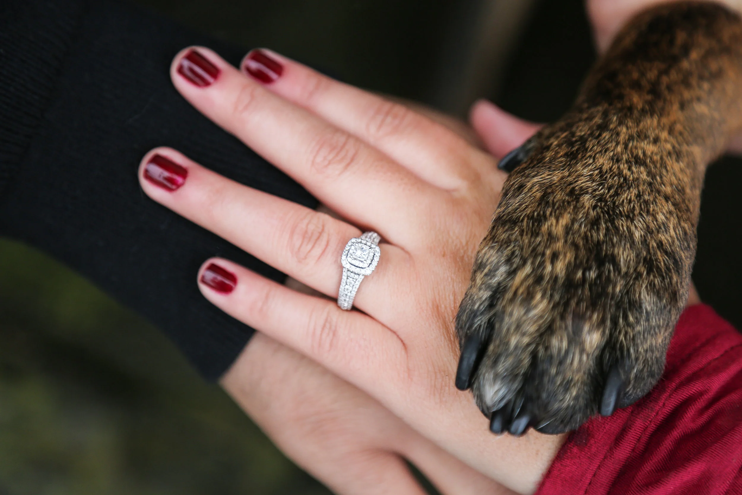 Treja Nicole Photography-3725.jpg