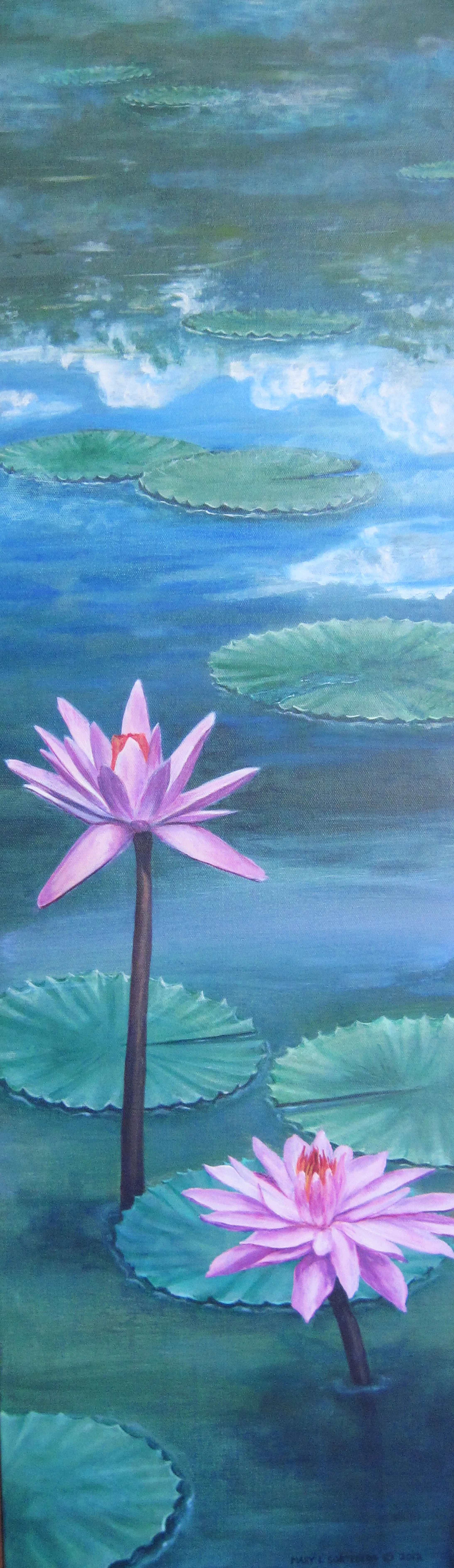Waterlily Elegance